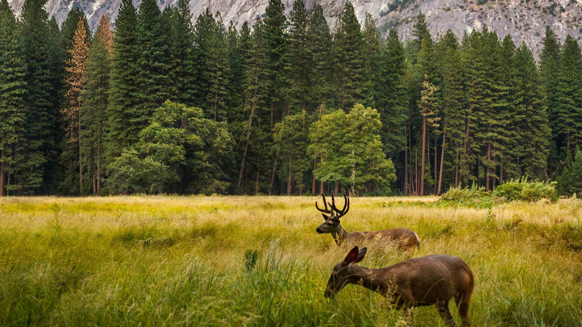 9. Se rapprocher de la nature