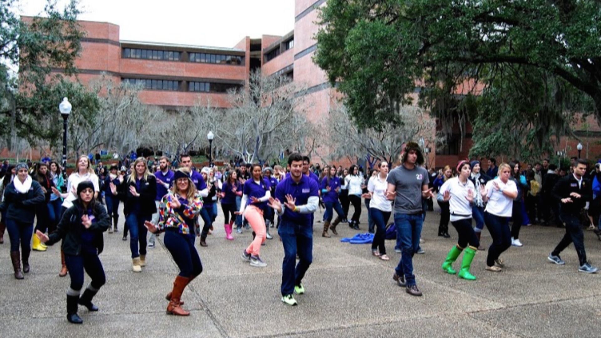 15. Flash Mobs