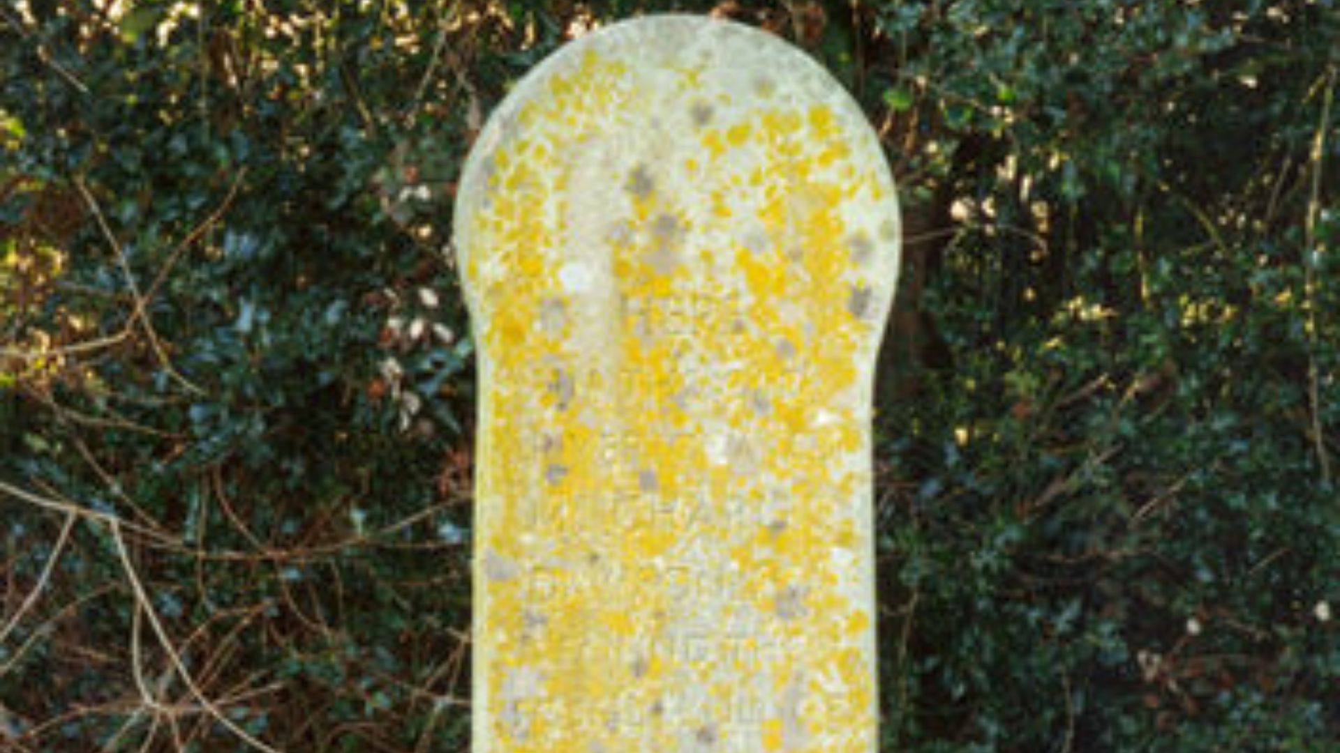 3. L'homme de Piltdown (1912)