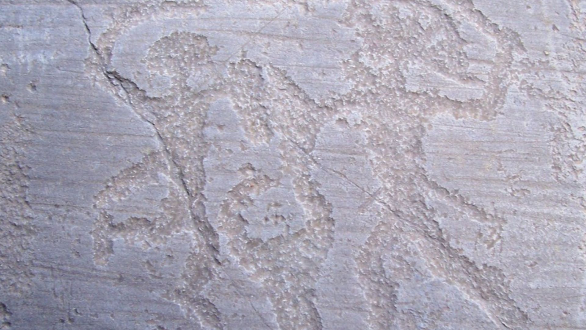 13. Les peintures rupestres de Val Camonica