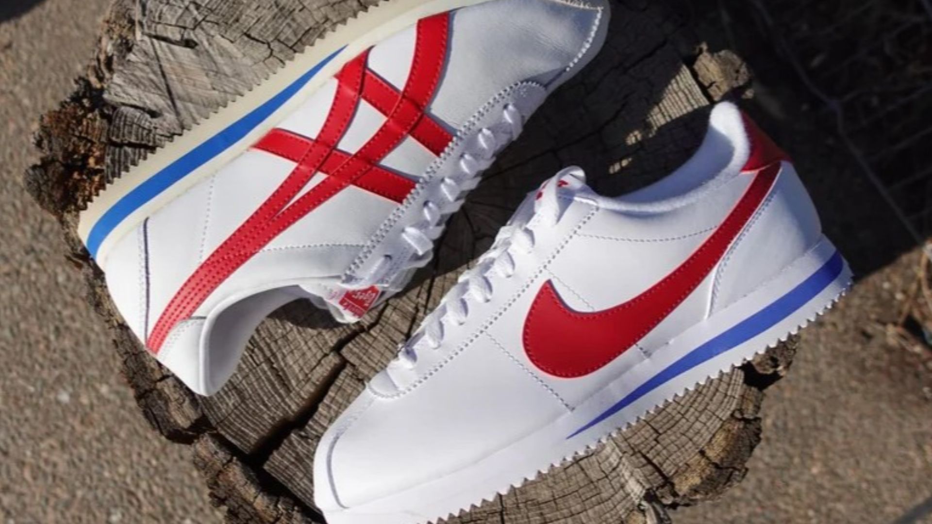 8. Le choc Corsair contre Cortez