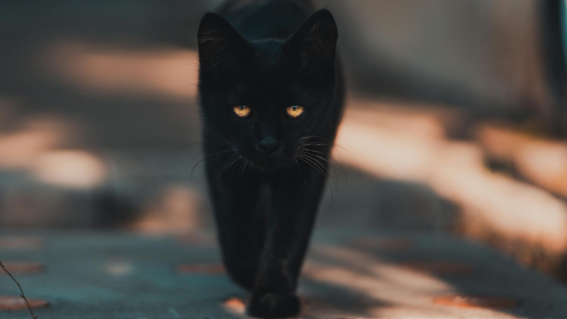 4. Causé par la superstition