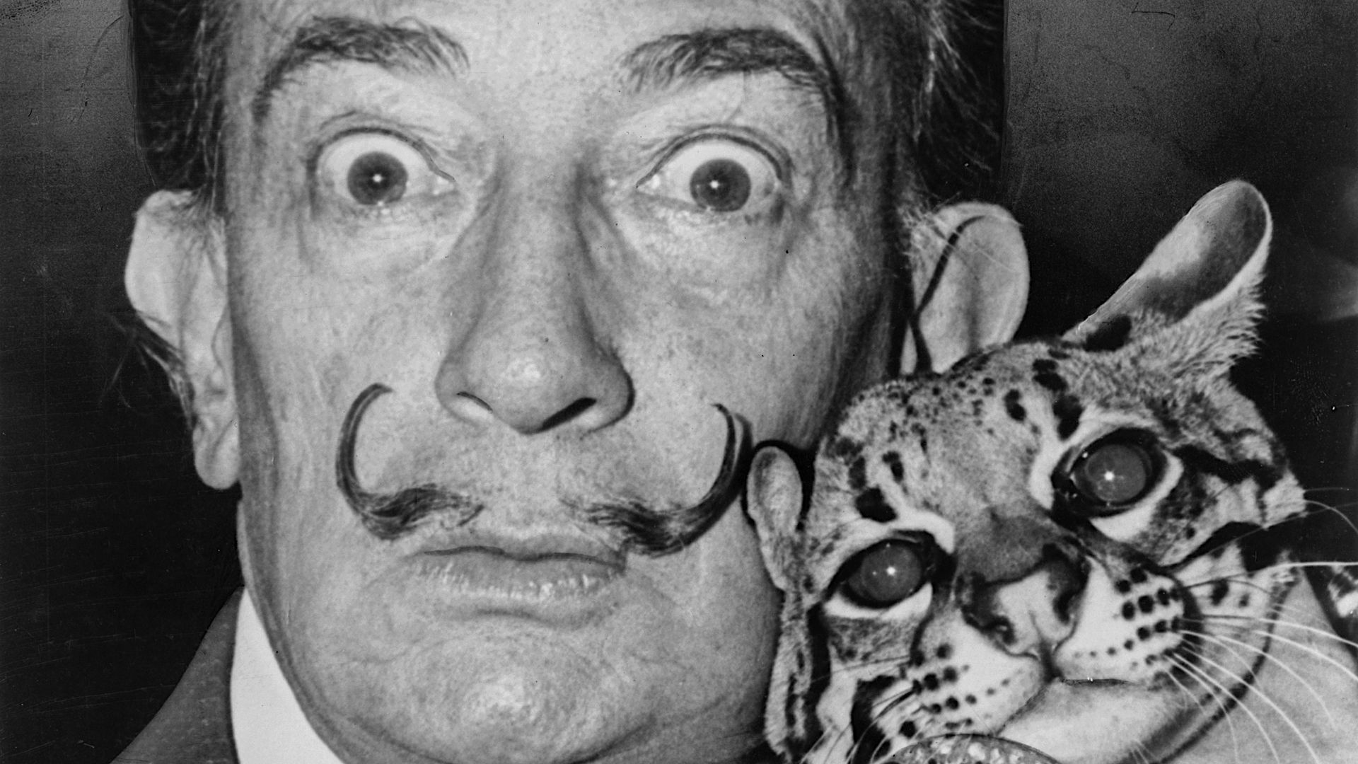 13. Salvador Dalí