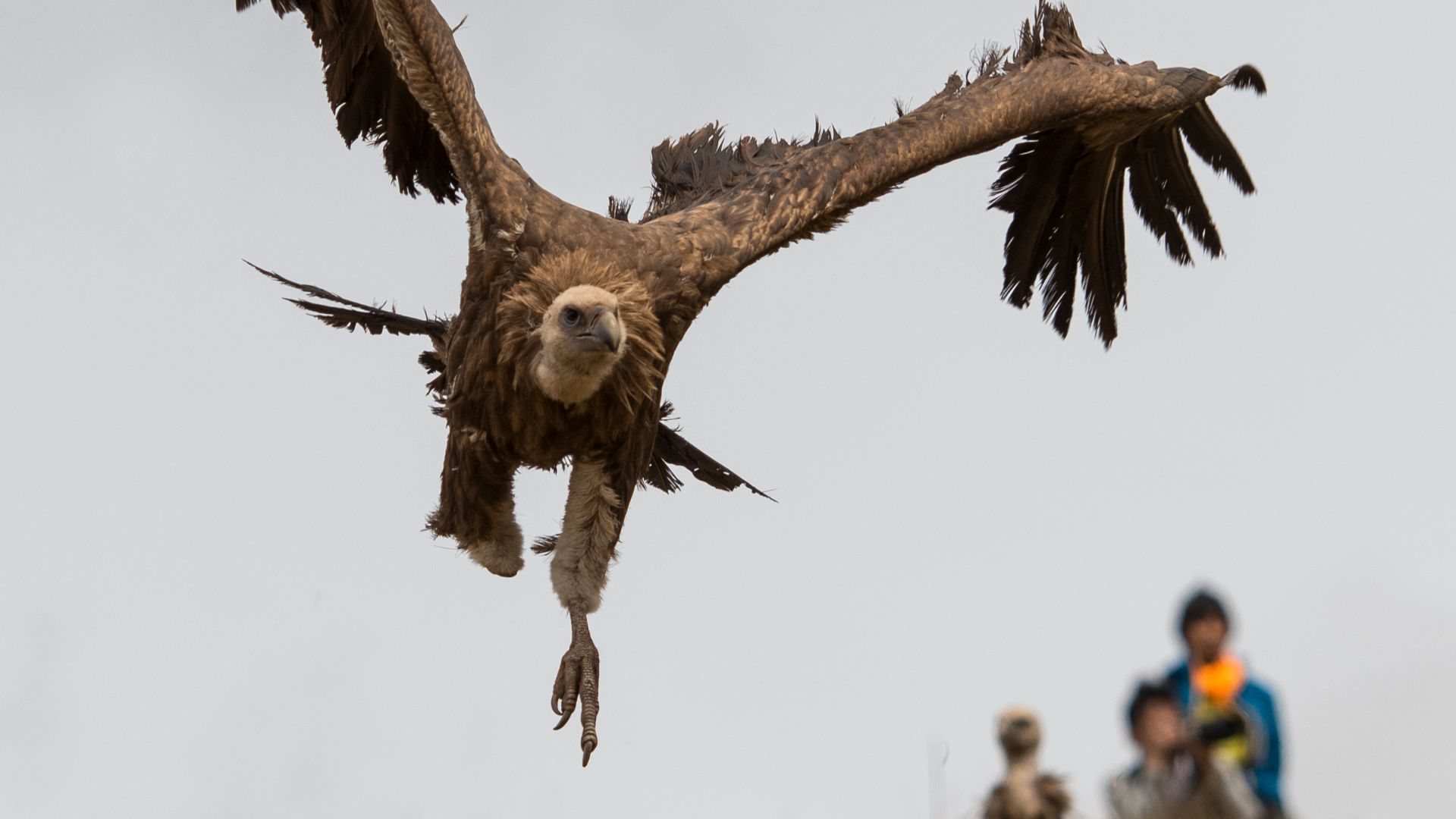 1. Enterrements dans le ciel au Tibet