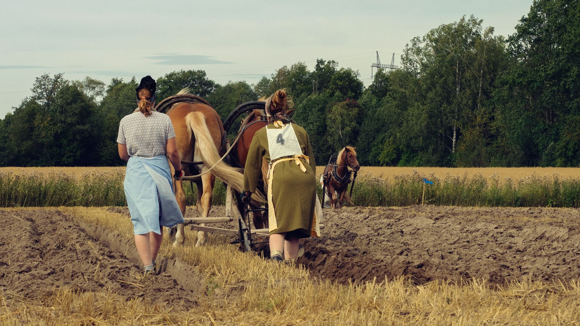 8. Le labourage du ciel dans la Grèce antique
