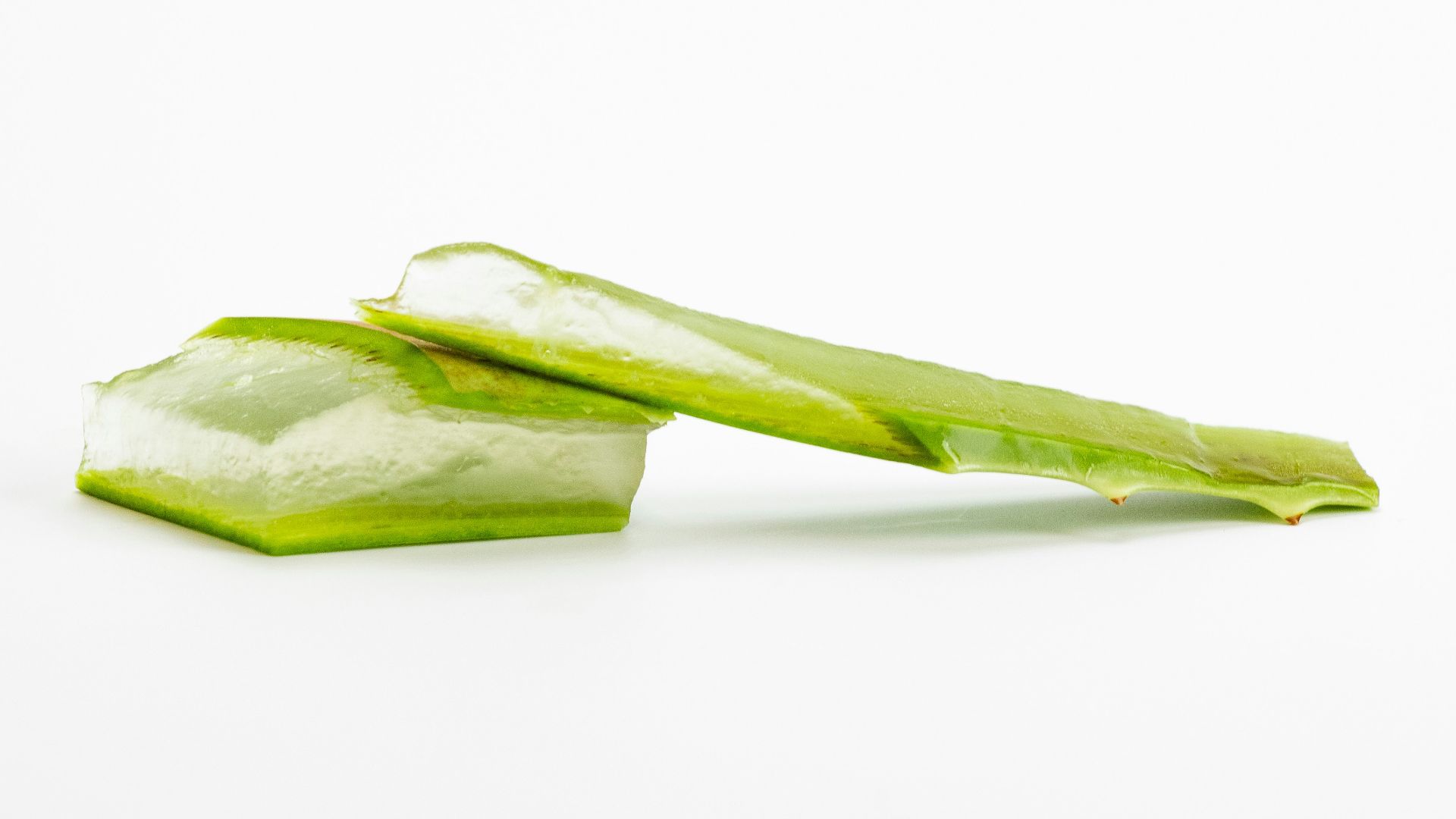 16. Aloe Vera