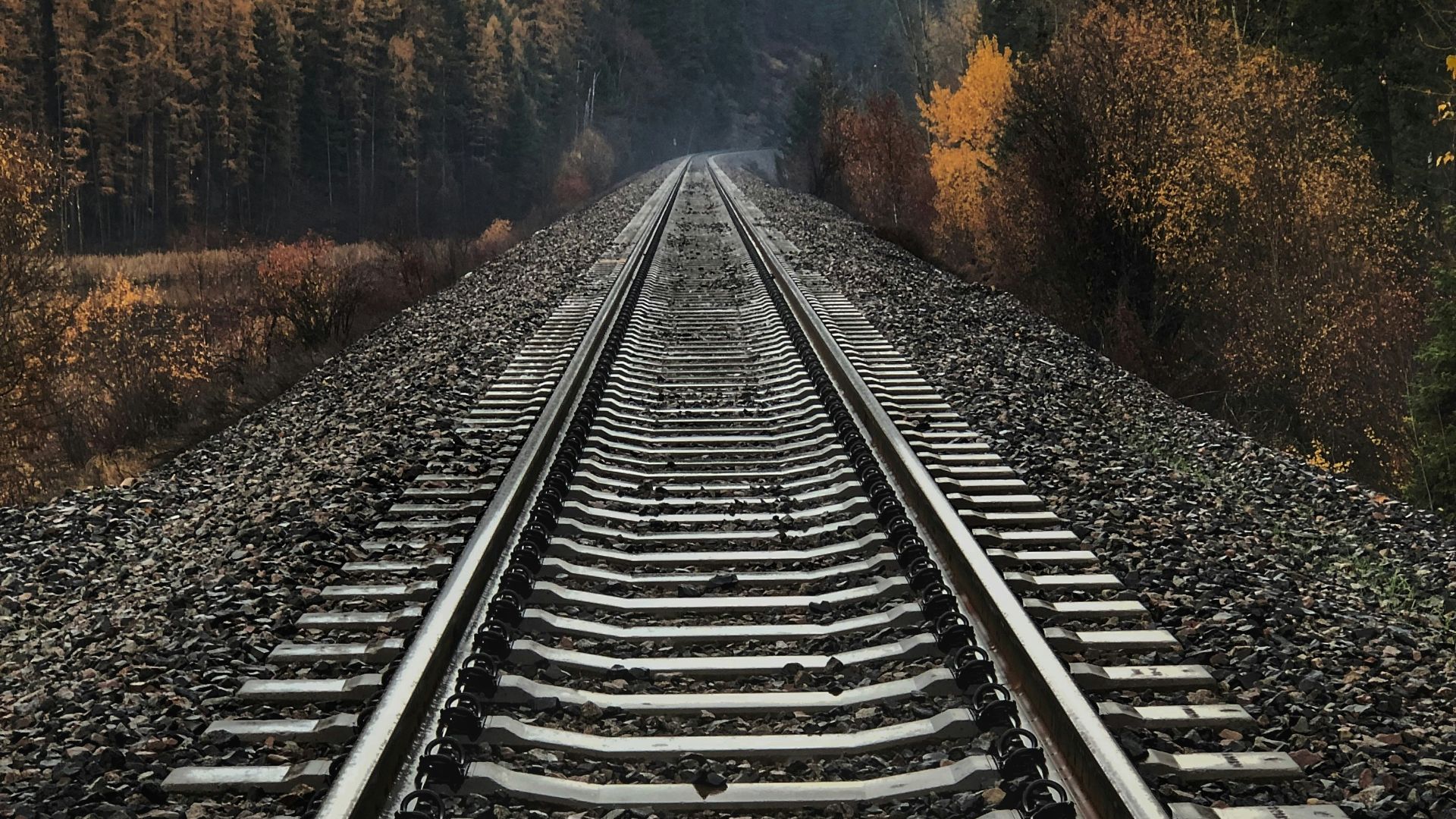 6. Ils ont contribué au développement des chemins de fer