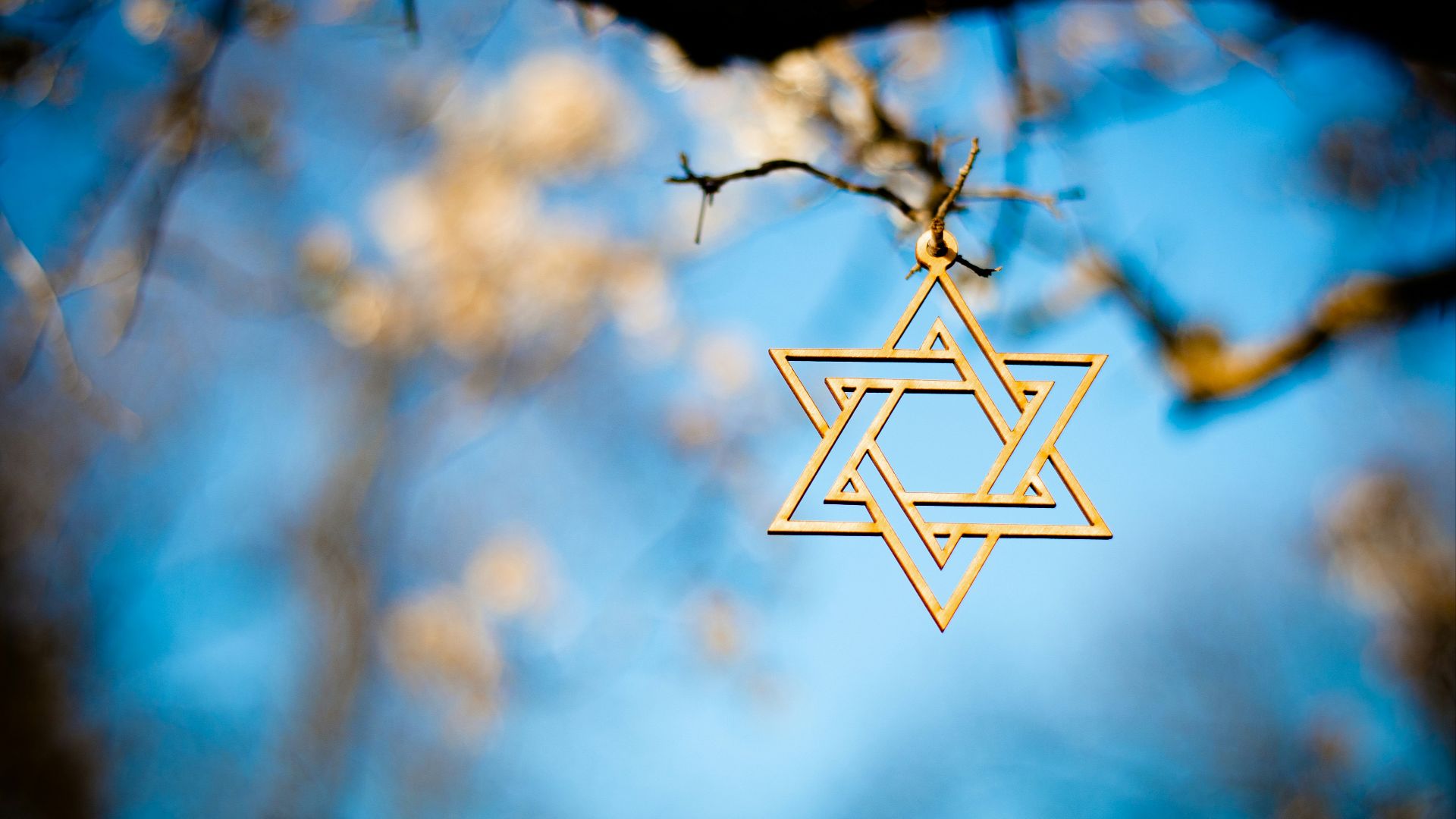 9. Ils sont d'origine juive allemande