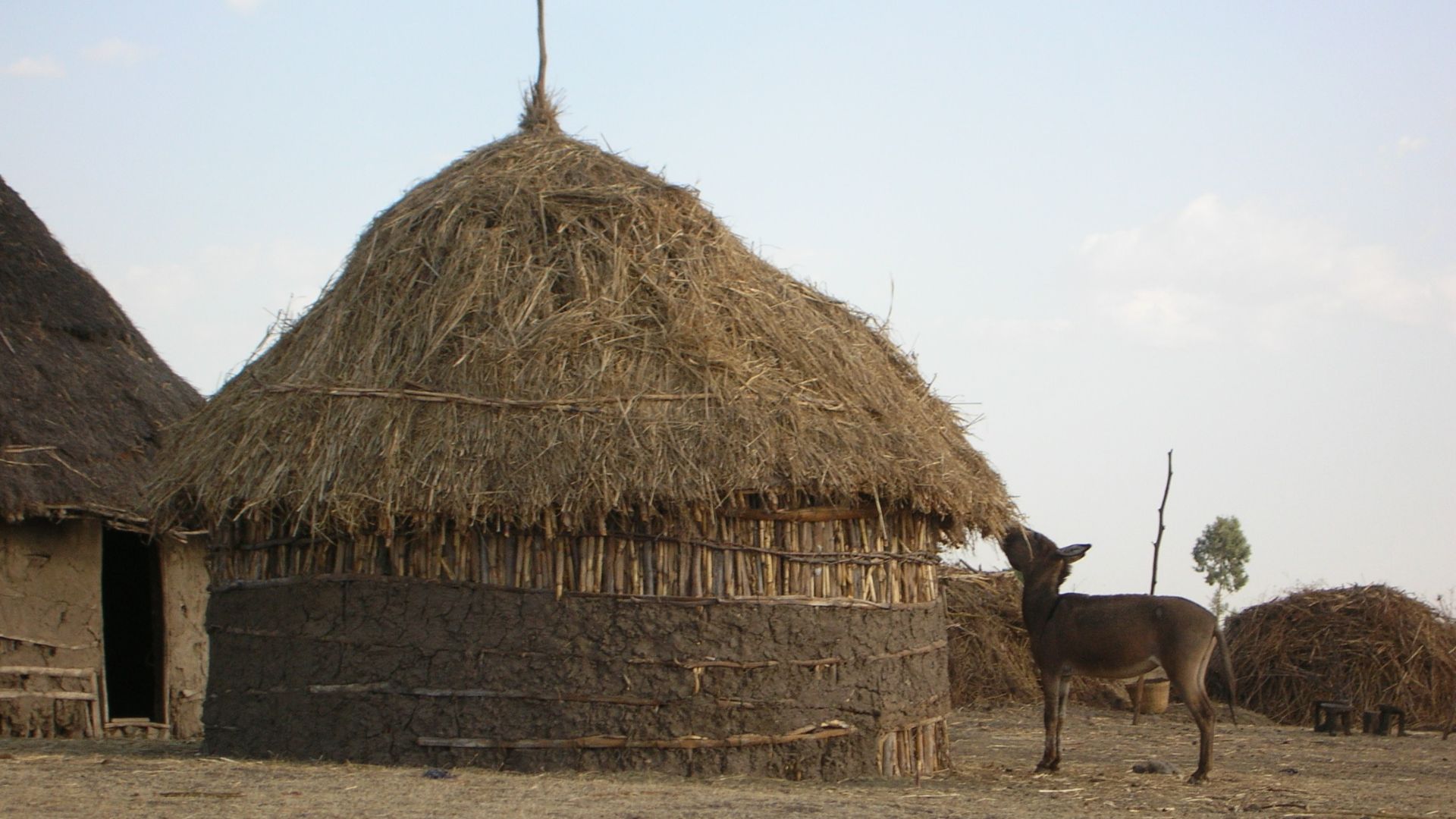 7. Utilisation des déjections animales comme matériau de construction