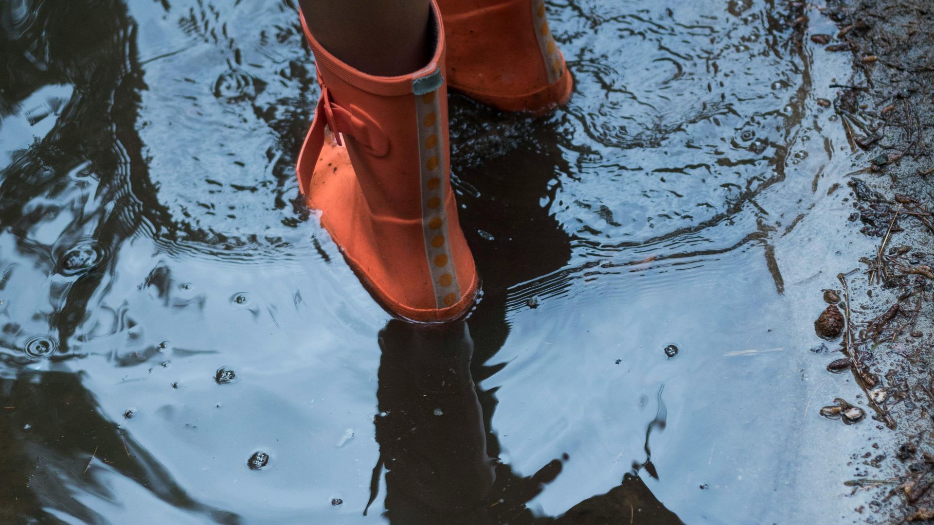 7. La saison des maladies