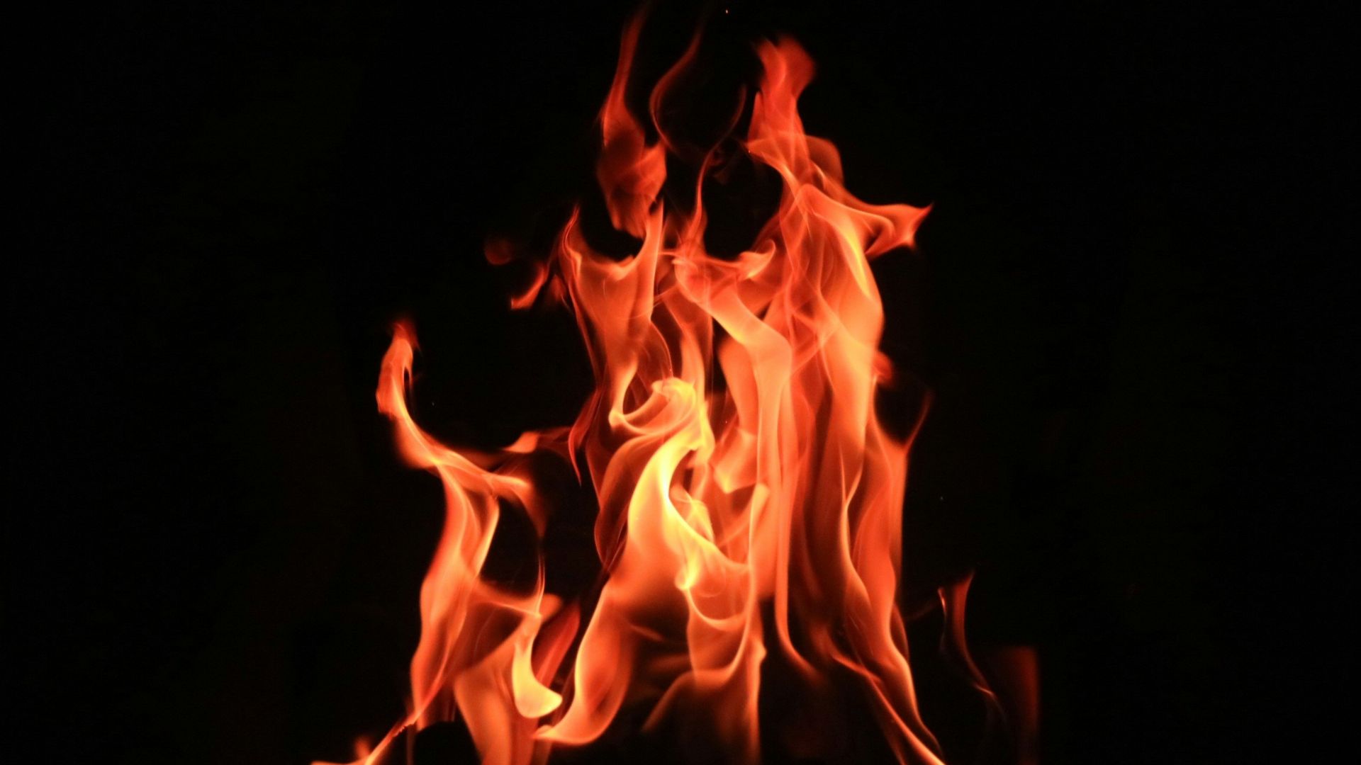 8. Traitements contre le feu