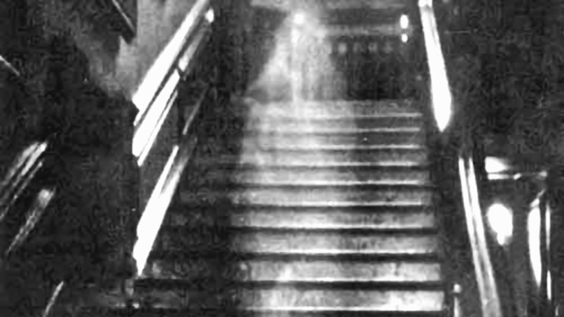8. La dame brune de Raynham Hall