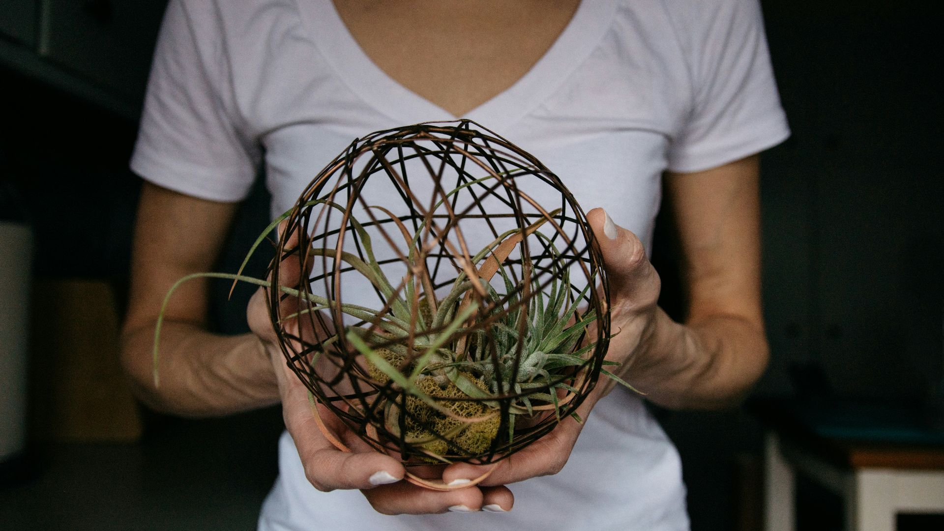 14. Divinités créatrices