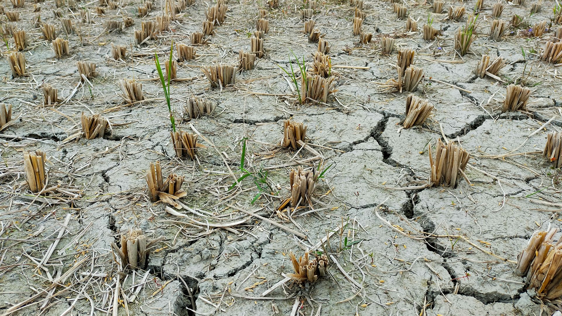 17. La météo ne coopère plus