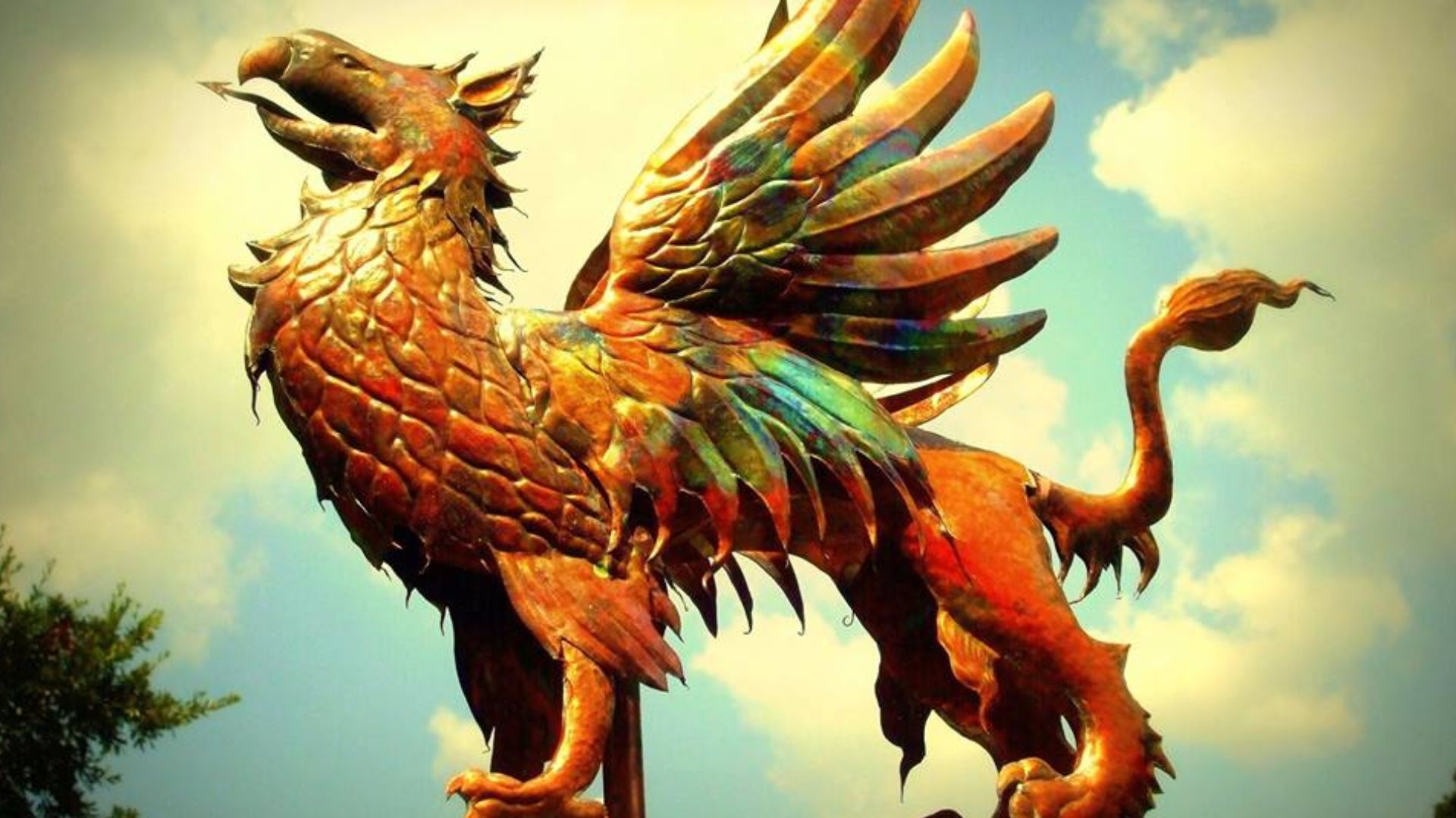 4. Griffon