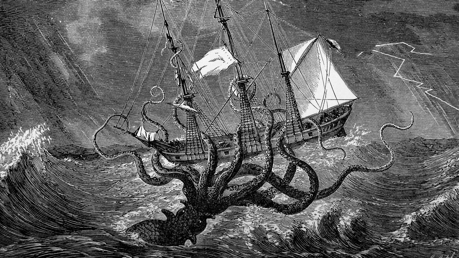 8. Kraken