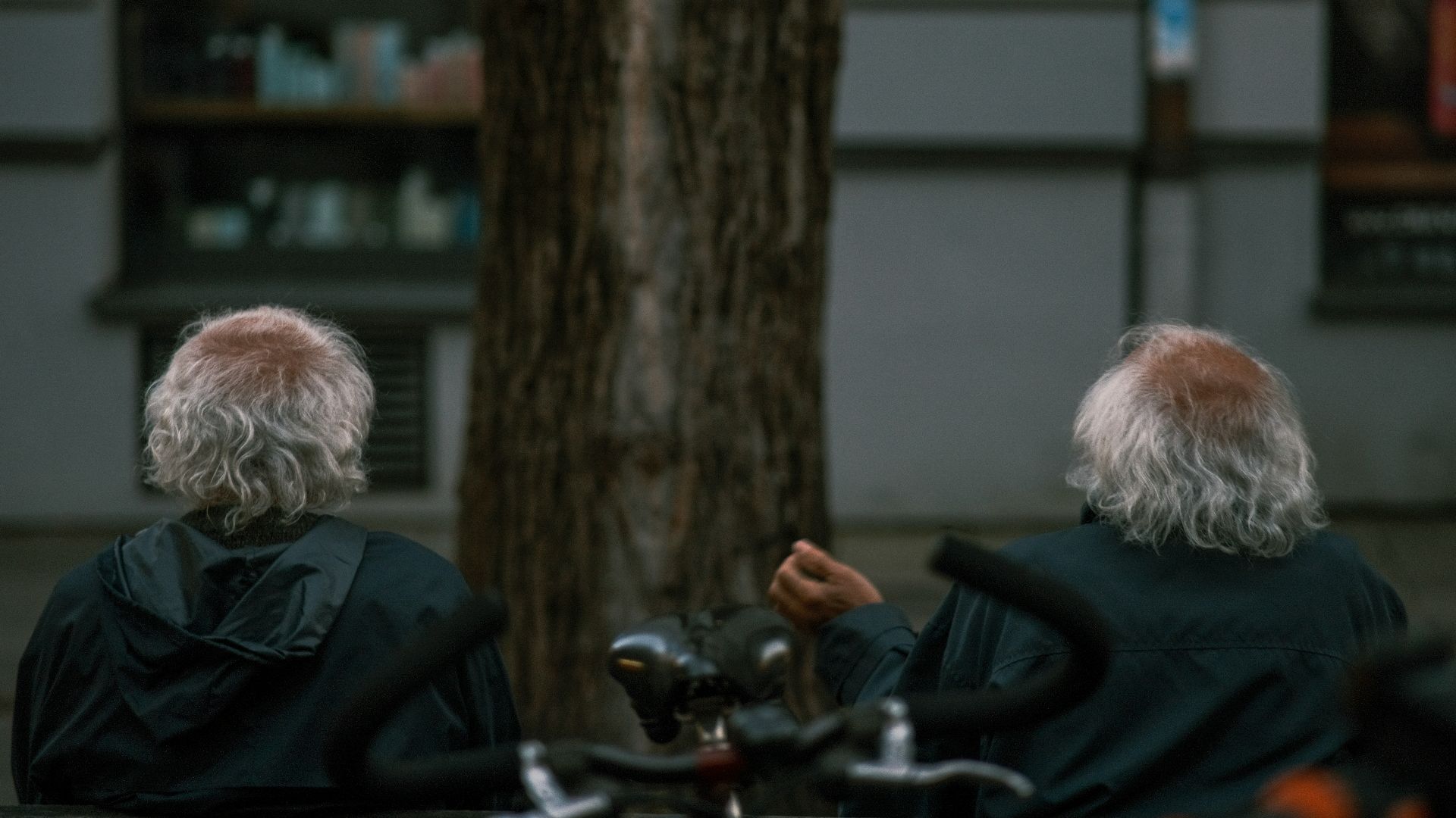 3. Jumeaux séparés