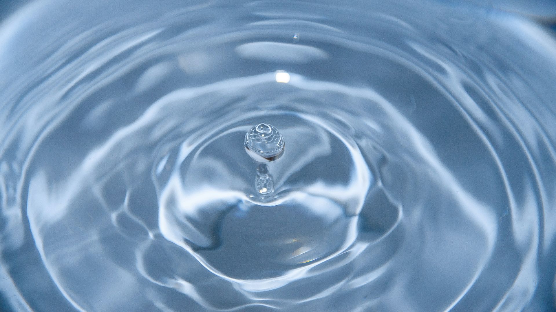 10. L'eau