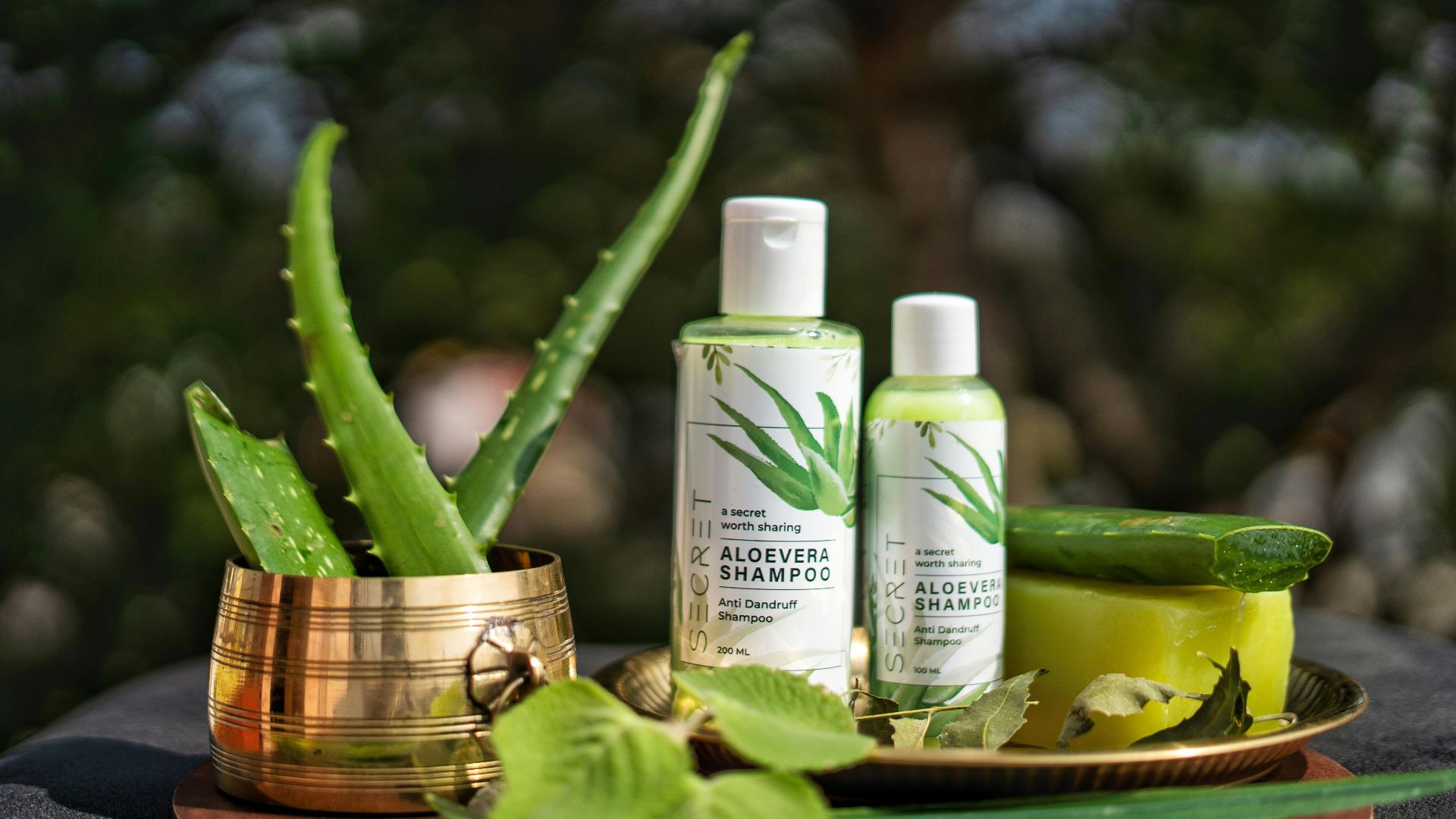 7. Appliquer l'aloe vera comme masque