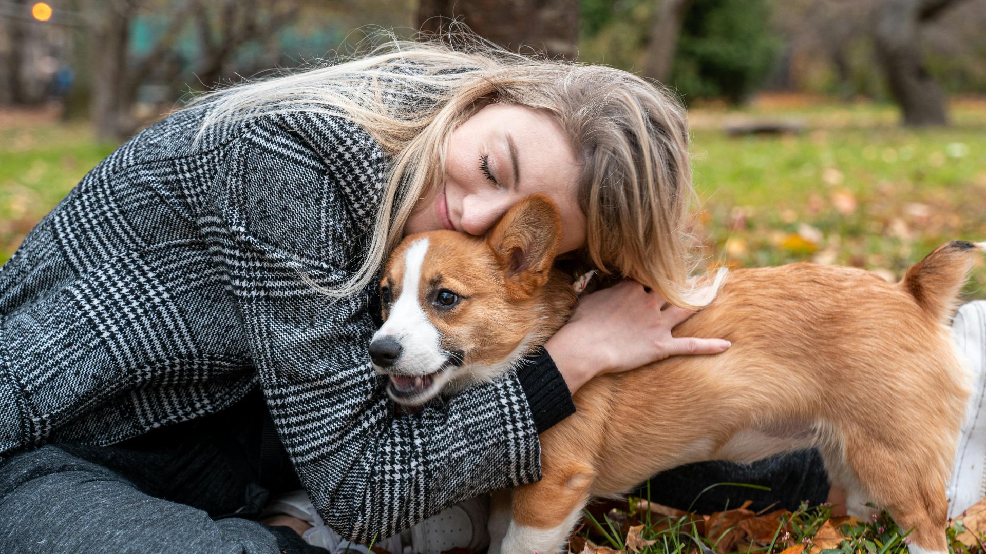 8. Rechercher le réconfort des animaux