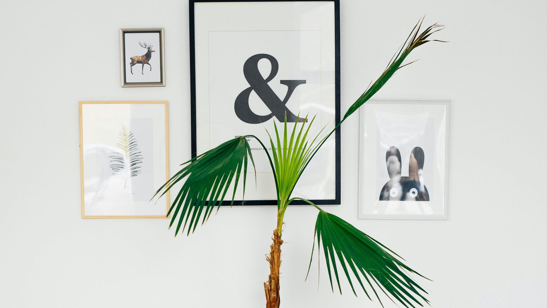 9. Pièces de décoration étranges