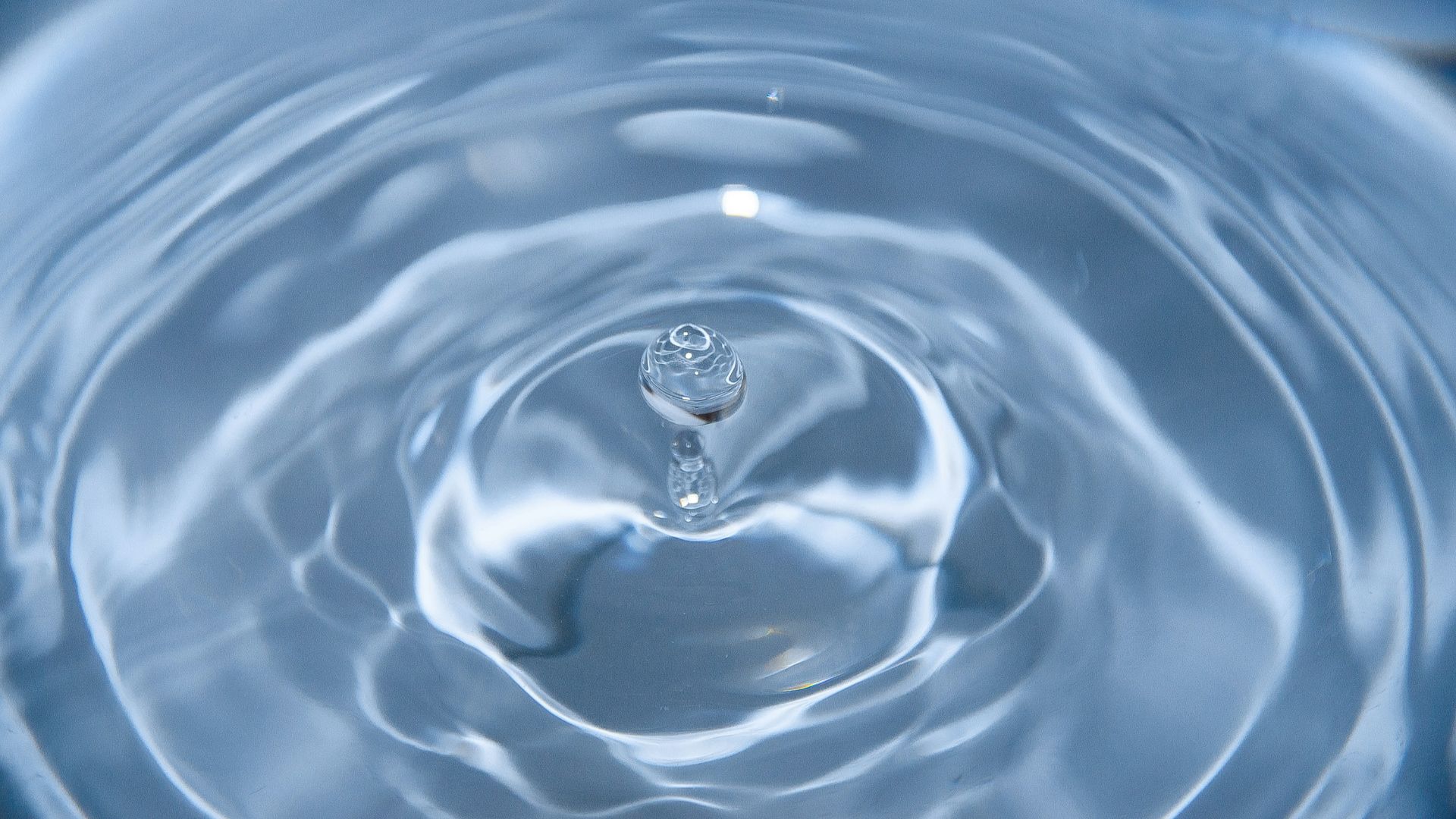 12. Dégâts des eaux