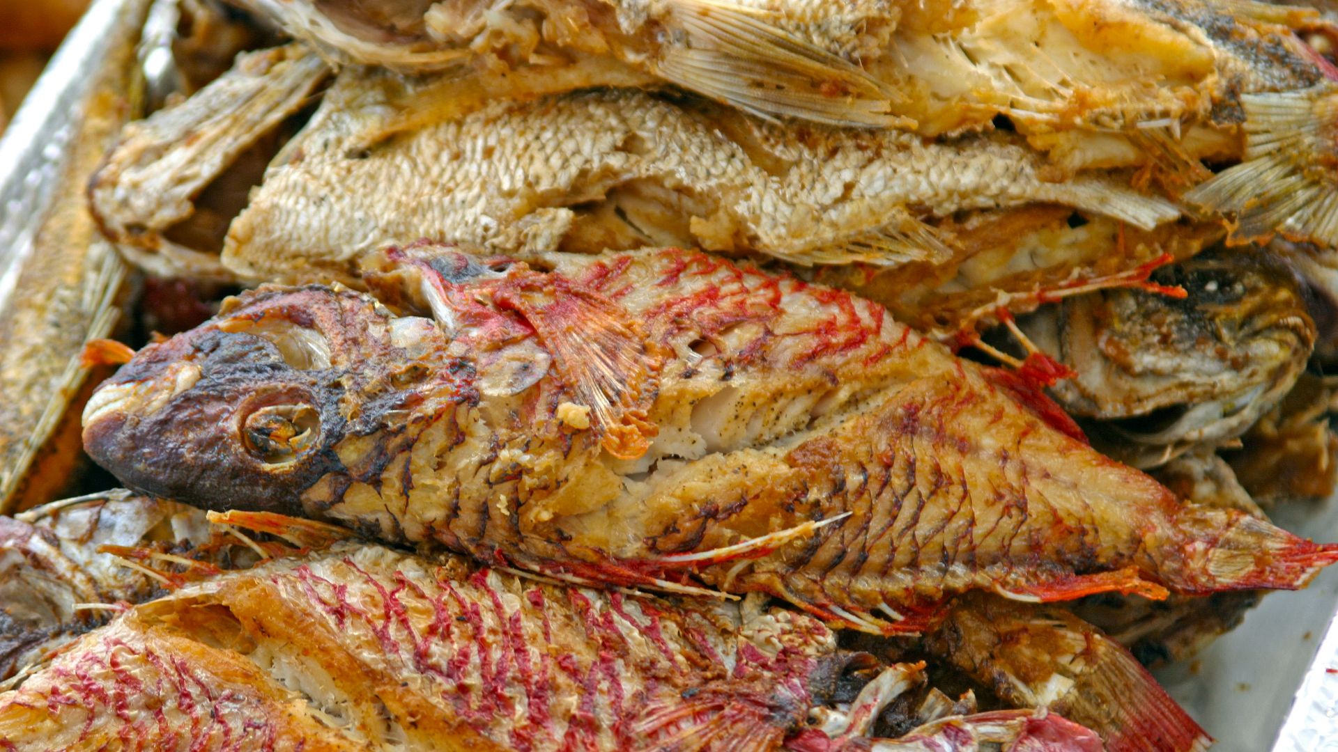 9. Se lancer dans la fermentation