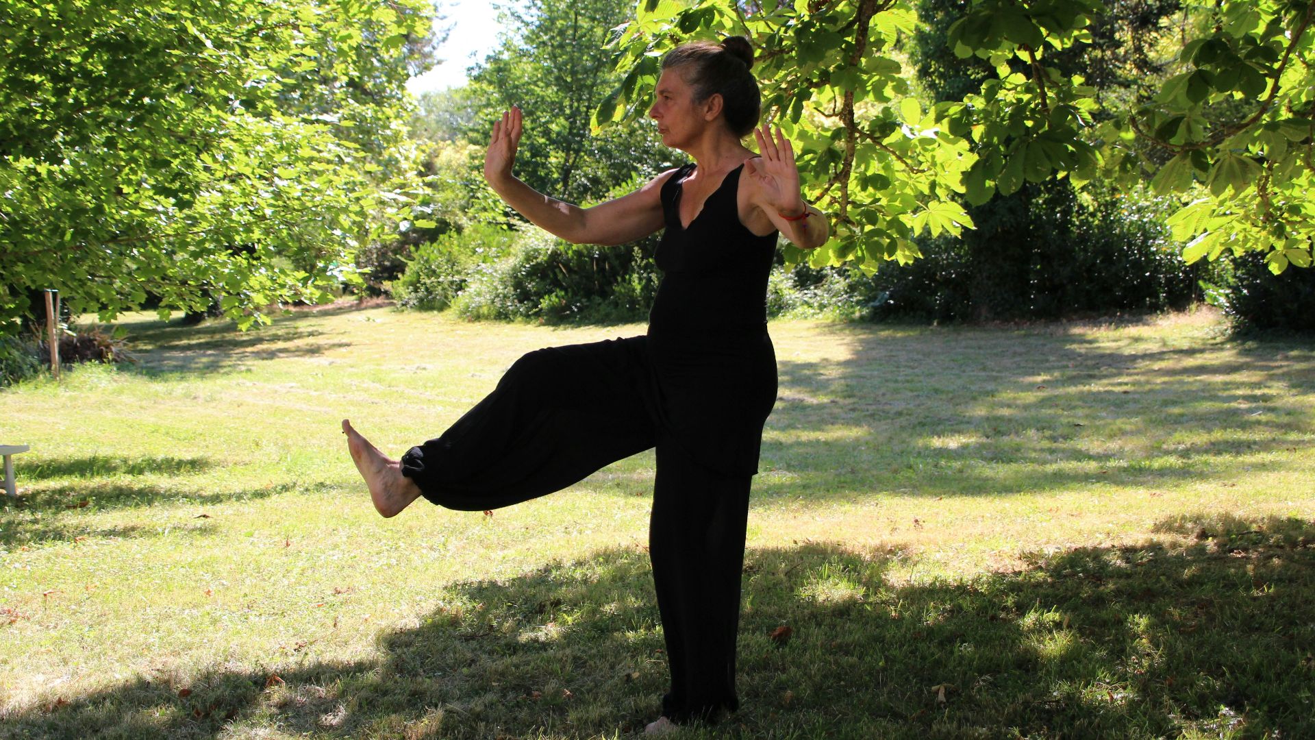 7. Séquence de Tai Chi avec les mains en nuage