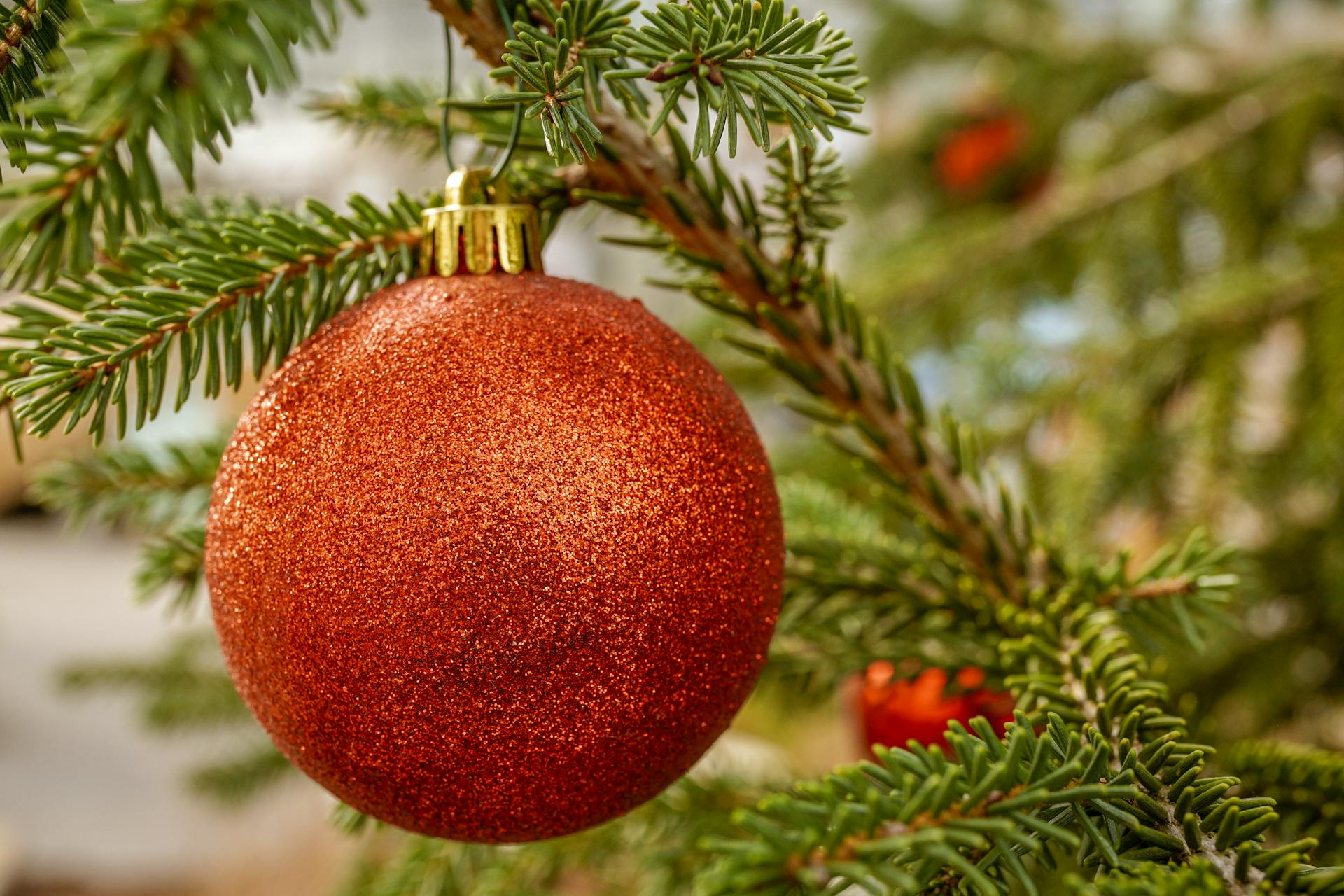 11 . Decorating outdoor trees