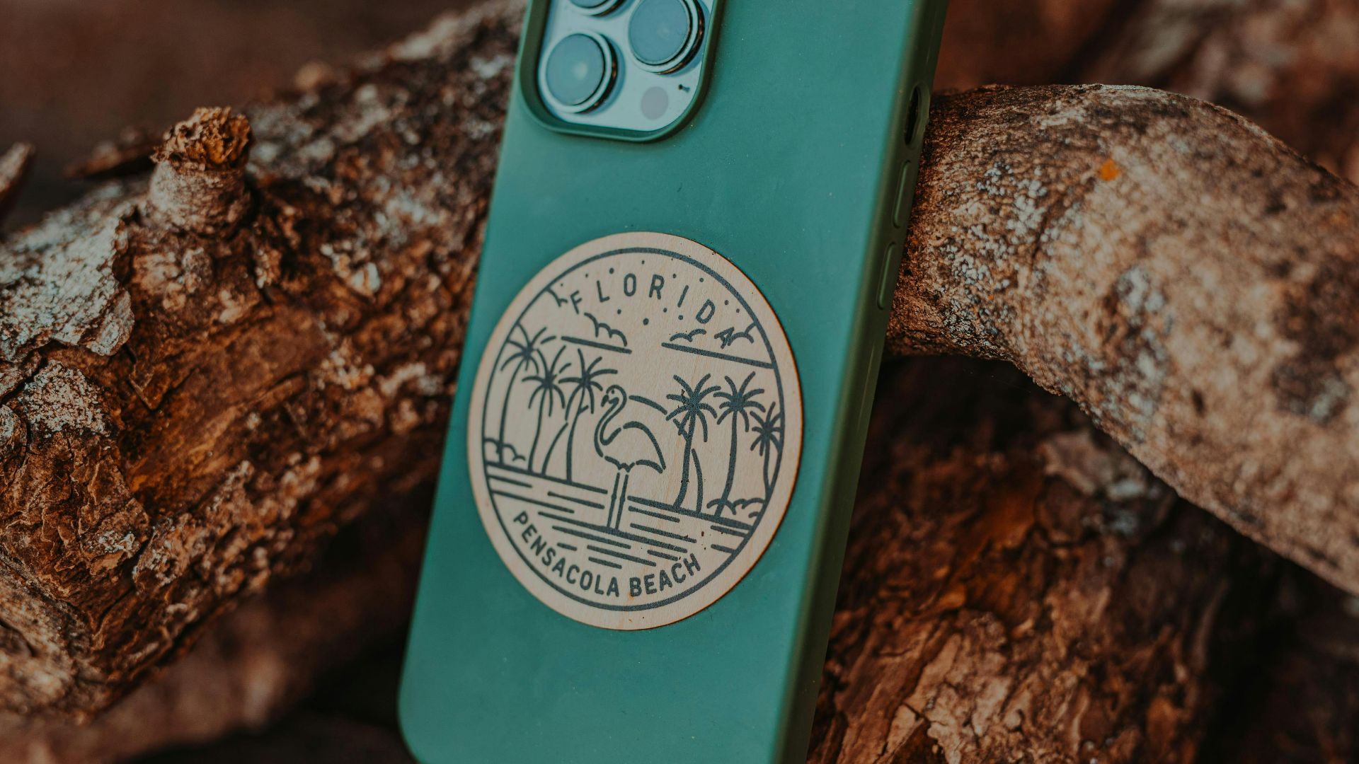 1. Étuis minimalistes d'art linéaire