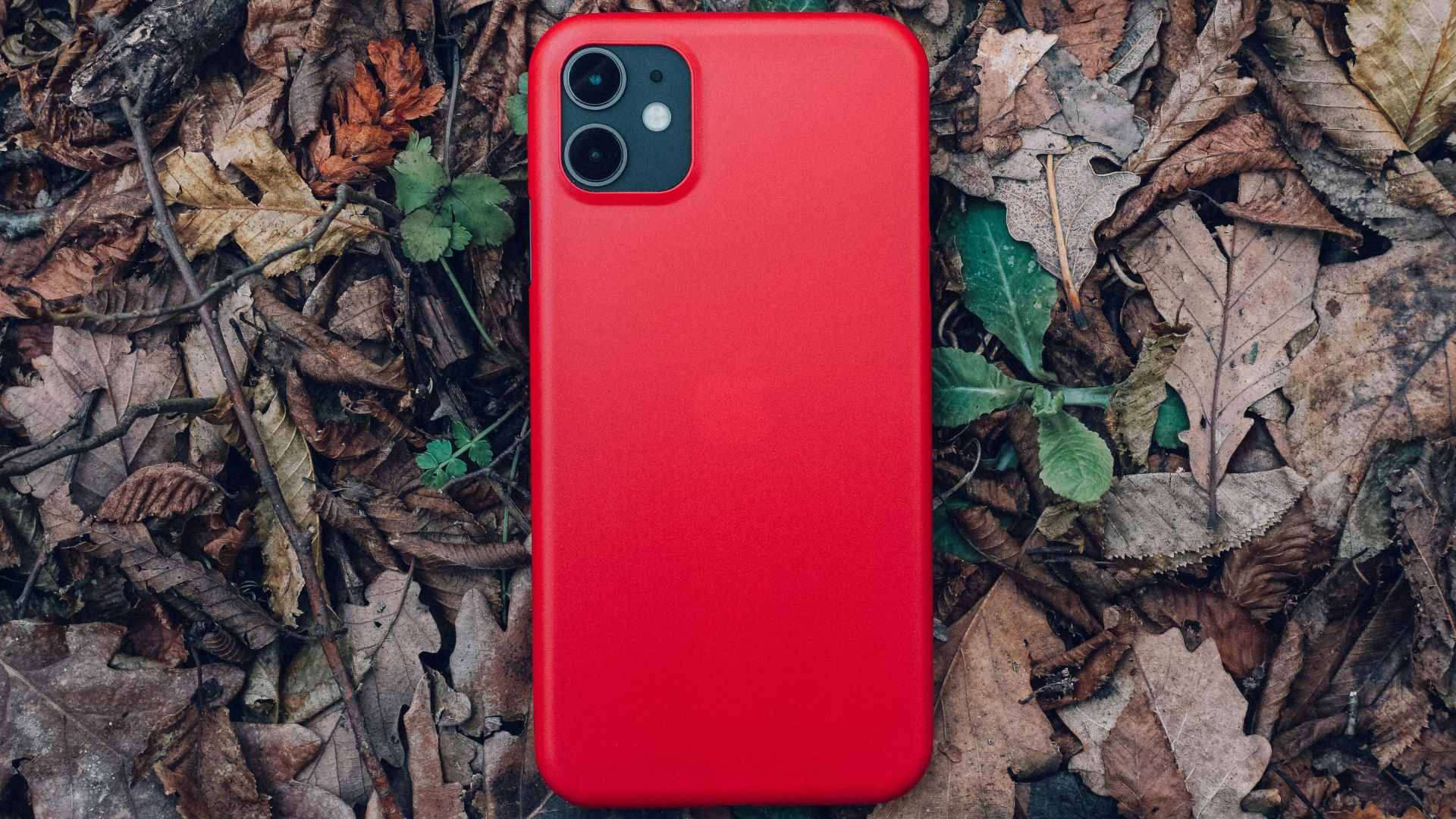 12. Boîtes interactives à couleurs changeantes