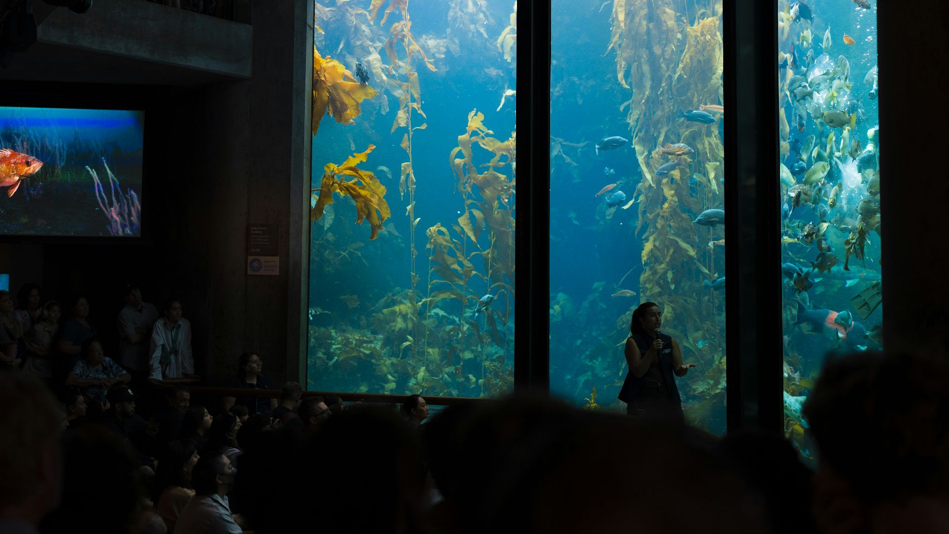 4. Aquarium de la baie de Monterey