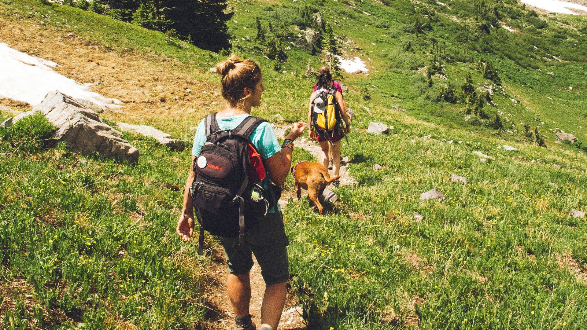 3. Marche ou randonnée