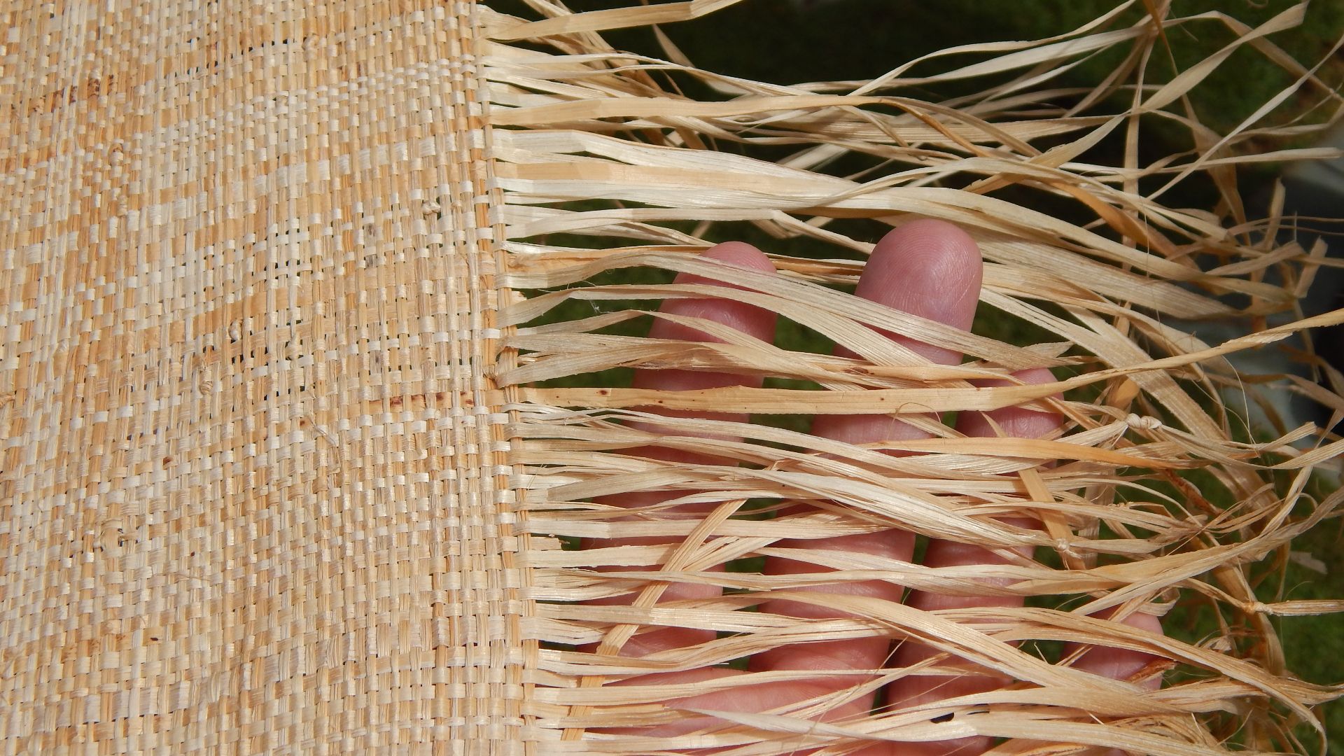 18. Fibre de banane (Abacá)