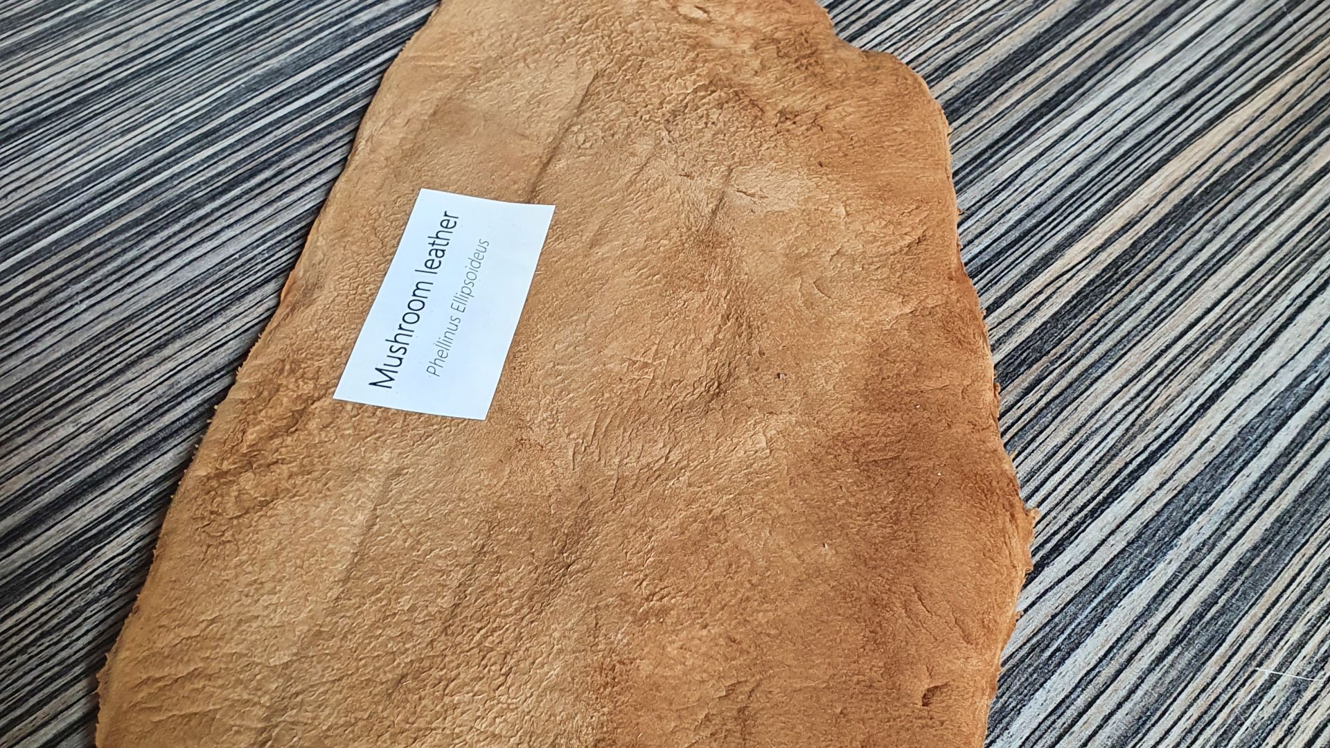 20. Cuir de champignon