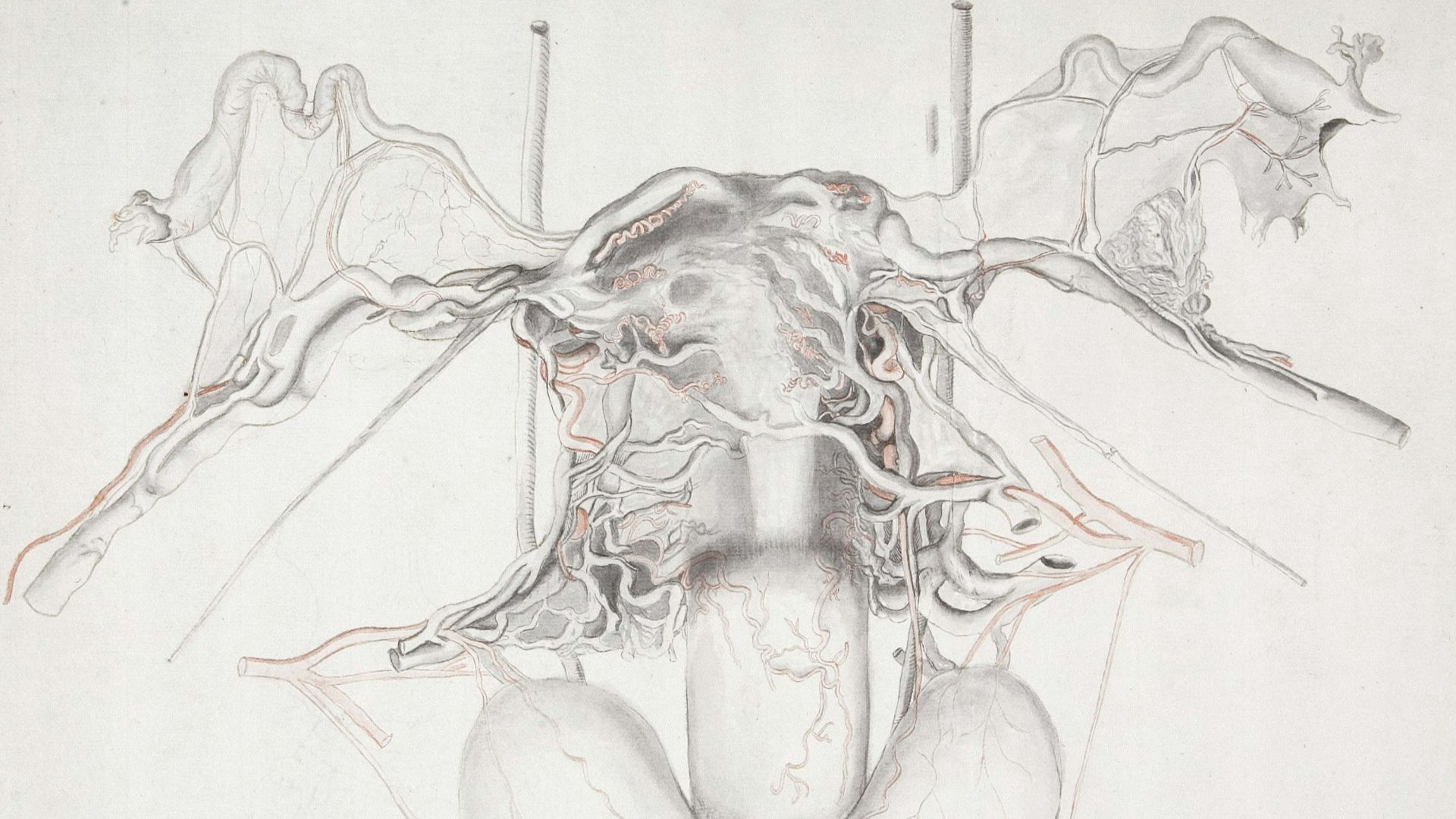 17. Fumigation de l'utérus