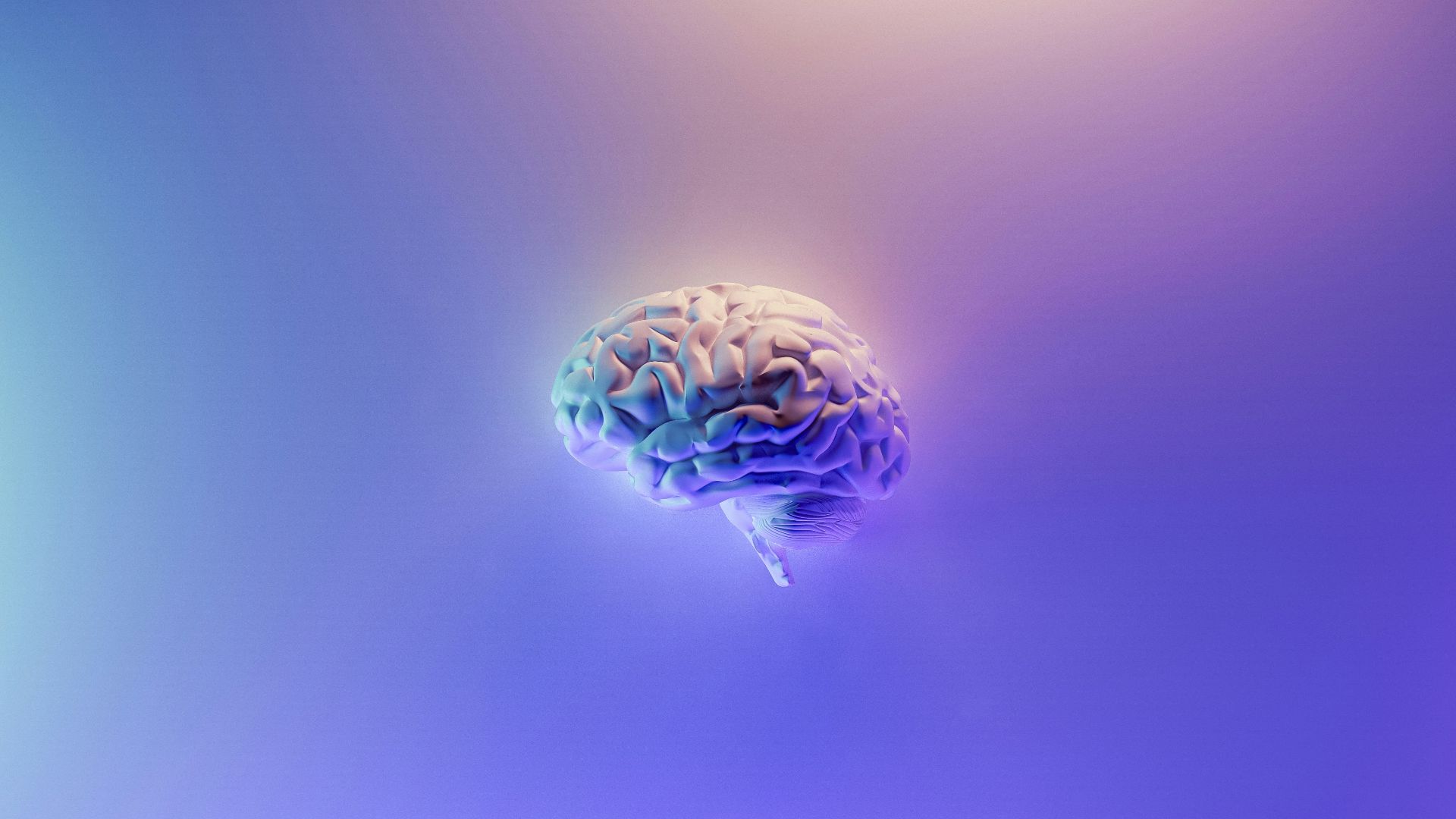 5. Une meilleure cognition