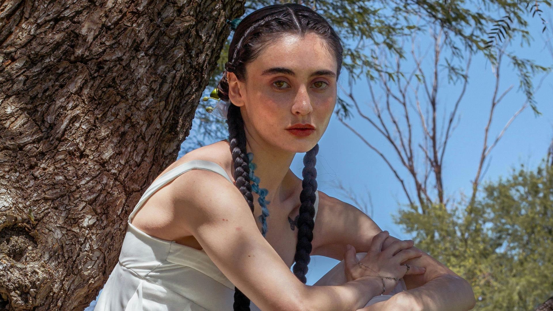 12. Queues de cochon jumelles