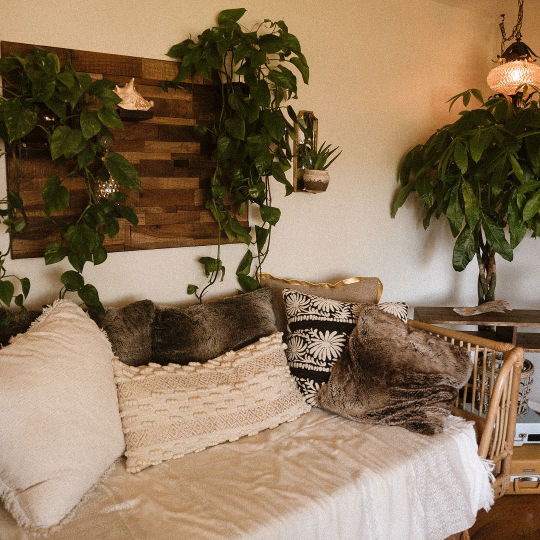 The plants