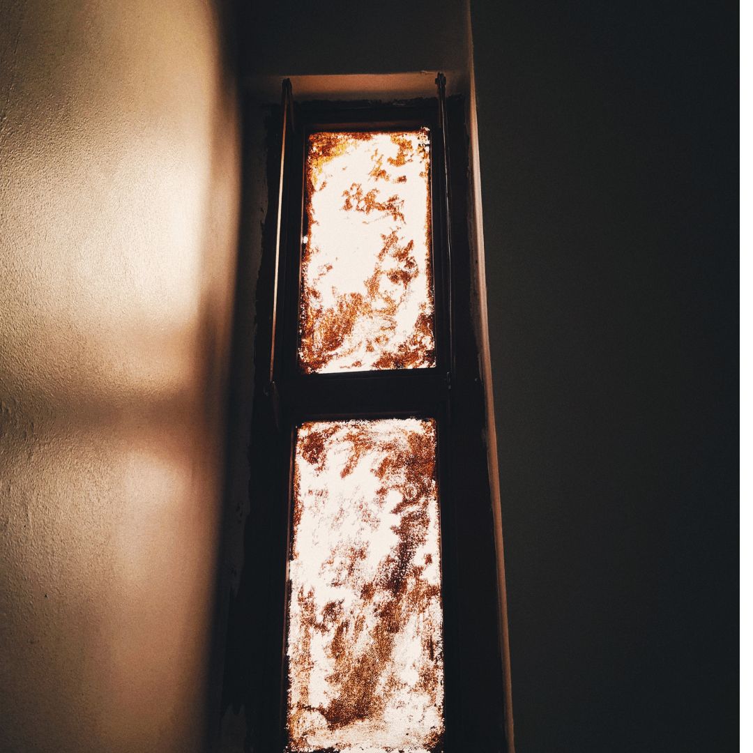The windows
