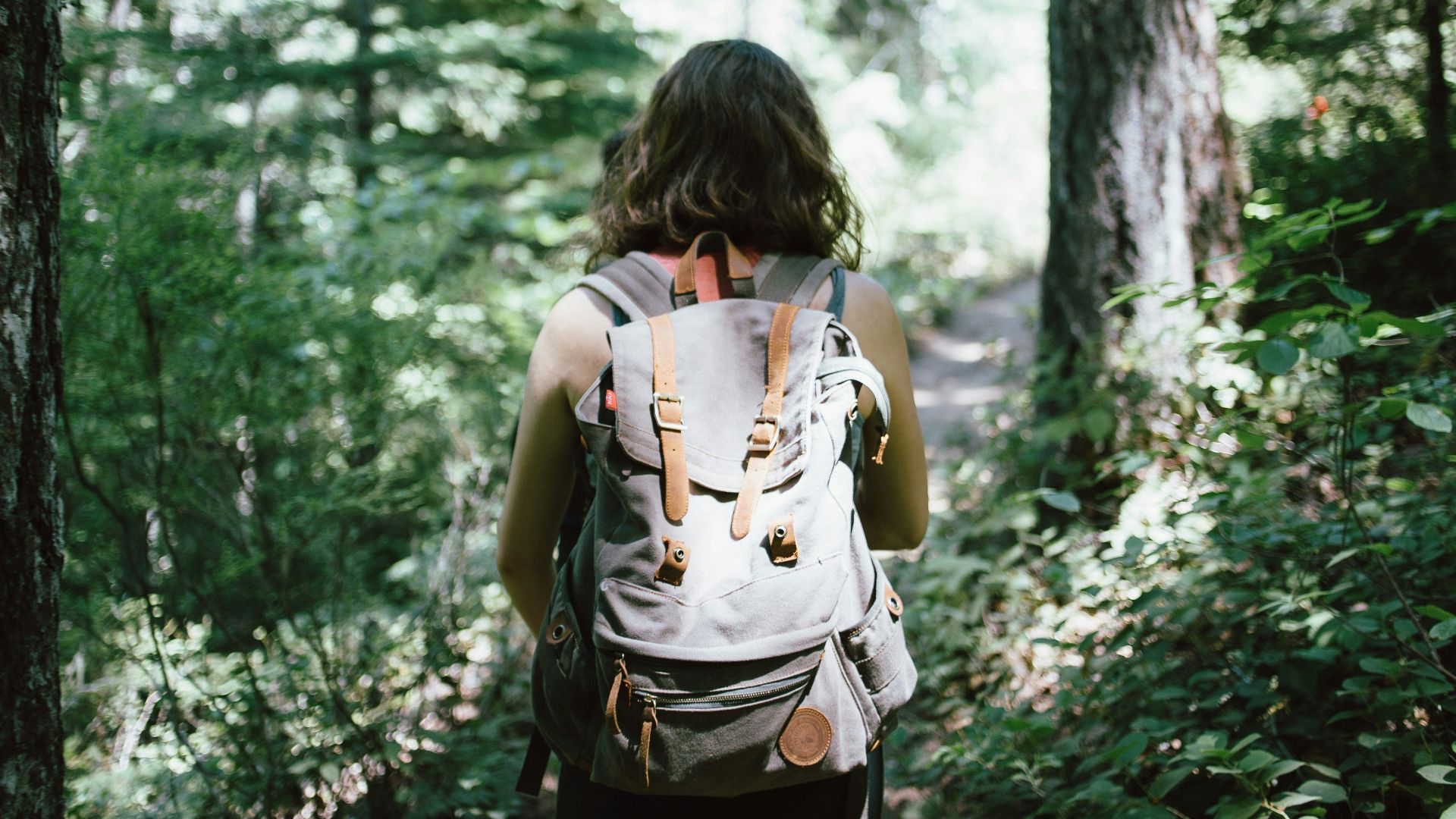 10. Promenades dans la nature