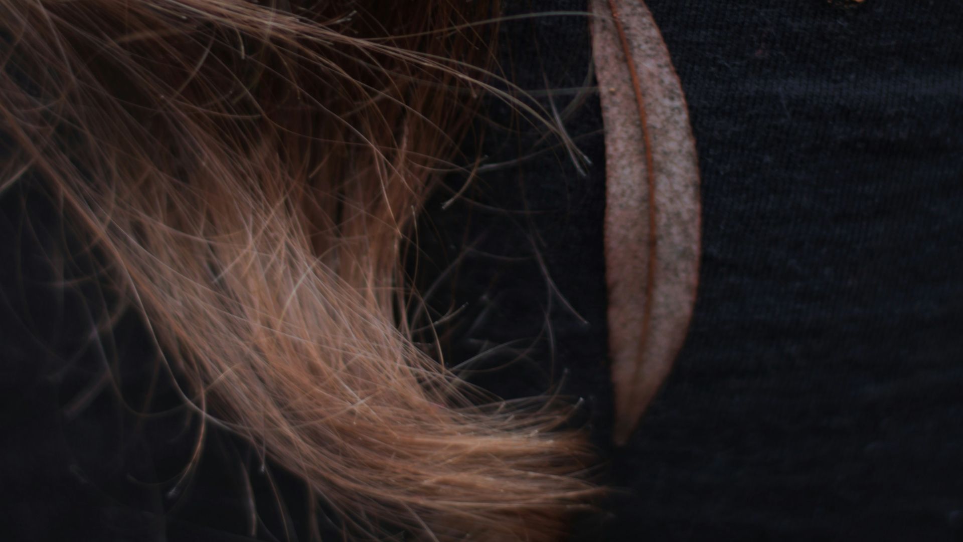 8. Appliquer l'huile uniquement sur les pointes des cheveux