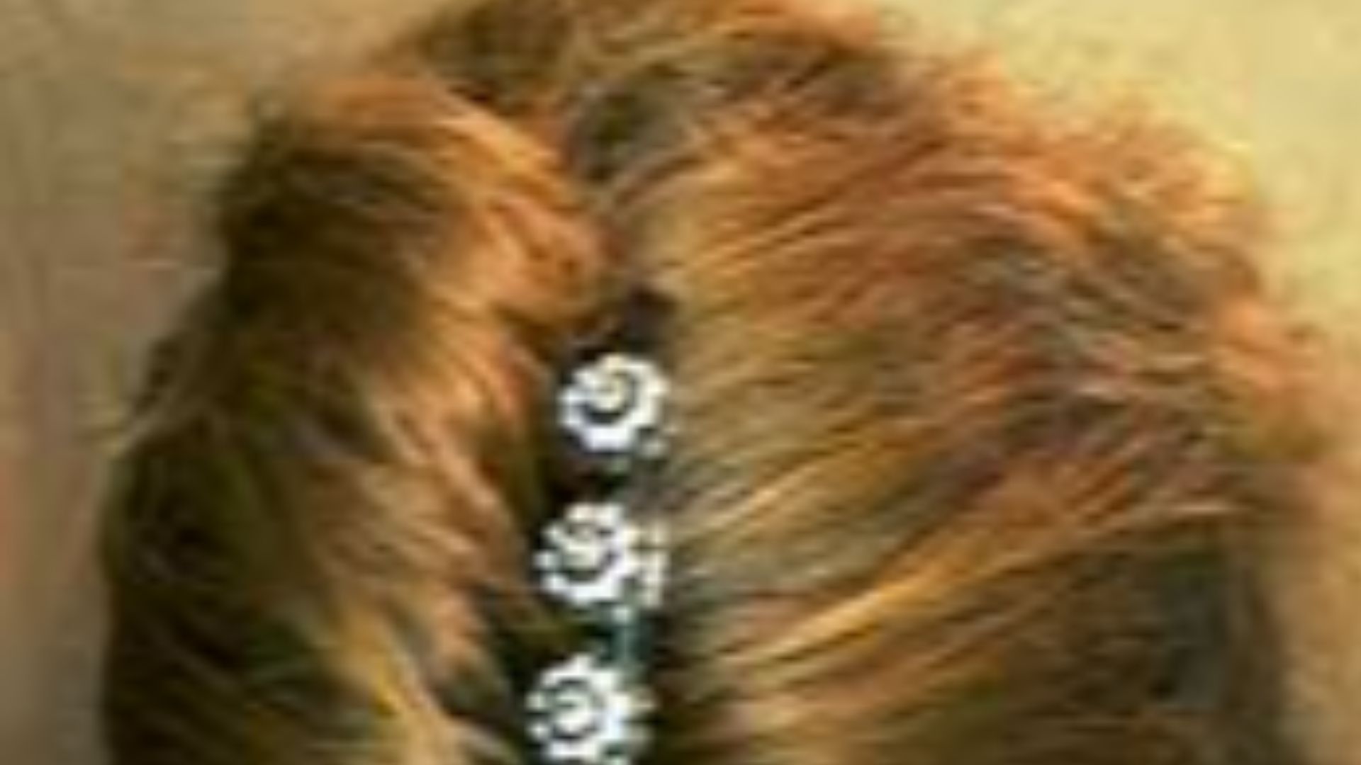 6. Torsion française classique