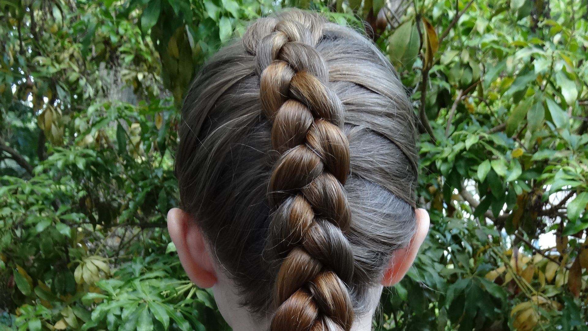 13. Tresse hollandaise en chignon