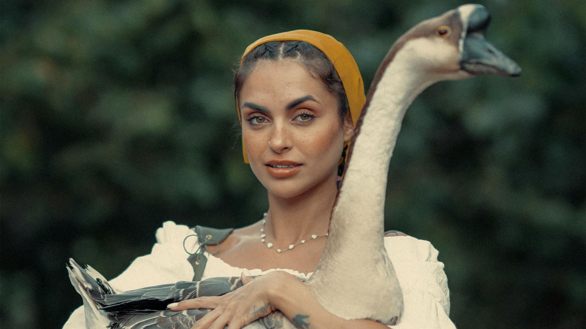 17. Bandeau à encastrer