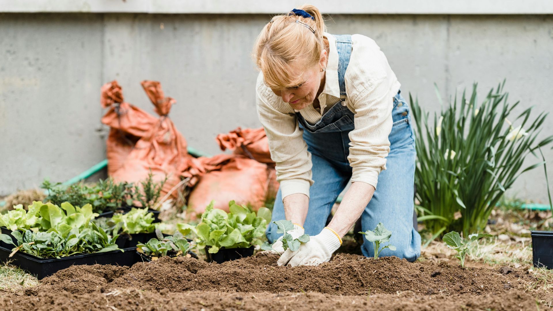 18. Jardinage