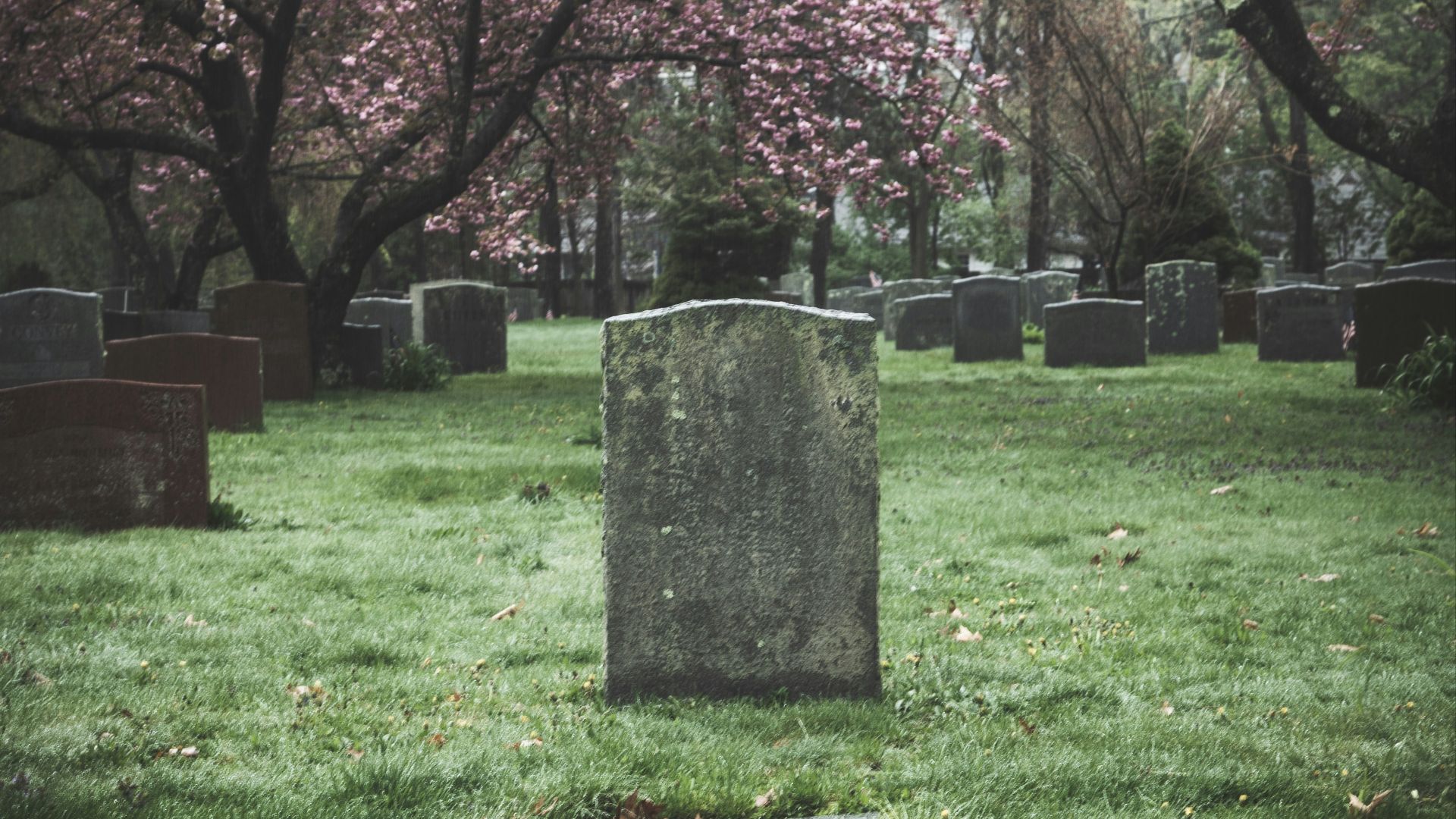 16. Il a commencé par vendre des pierres tombales