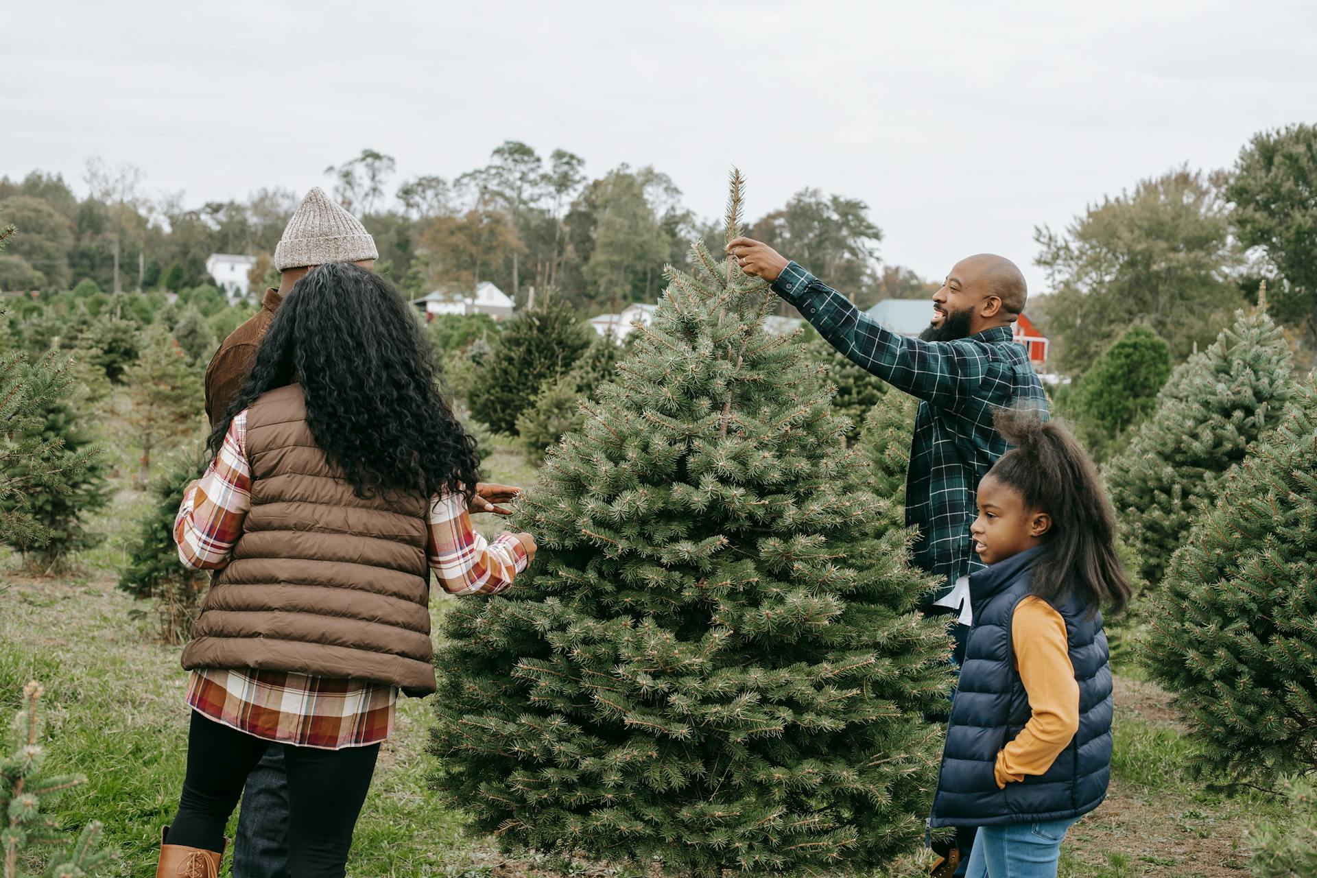 8. Buying a family Christmas tree