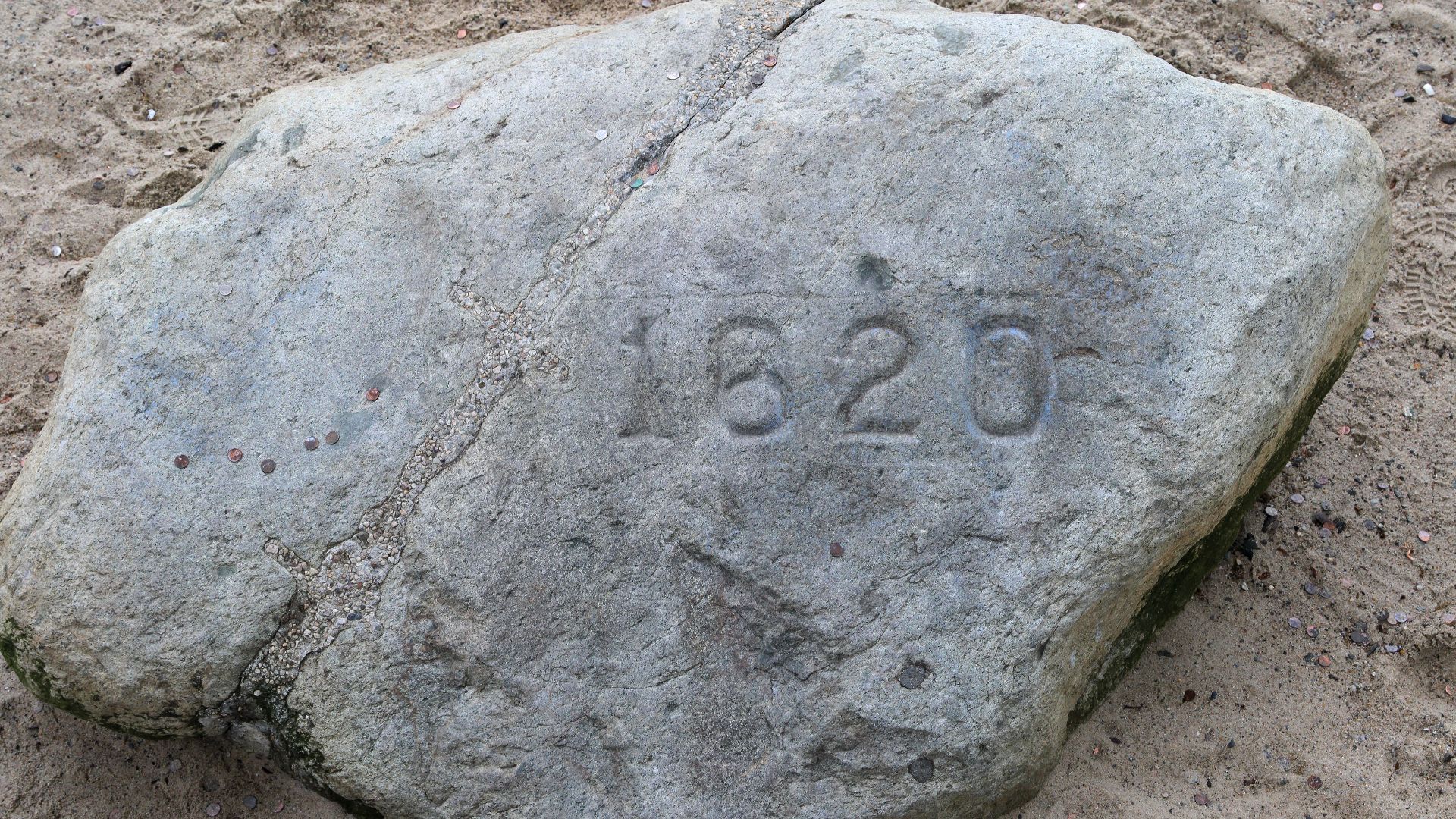 4. Pas de Plymouth Rock