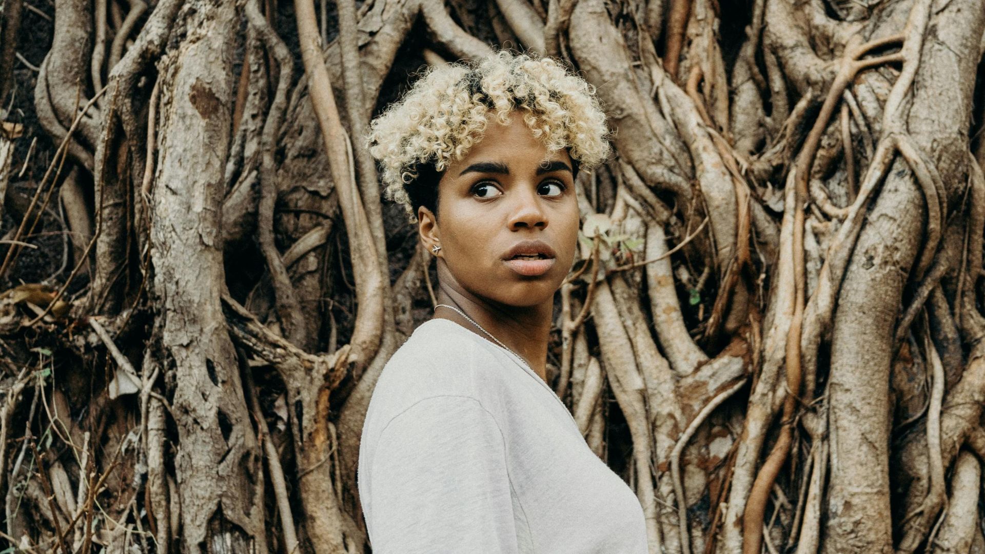 15. Racines cultivées